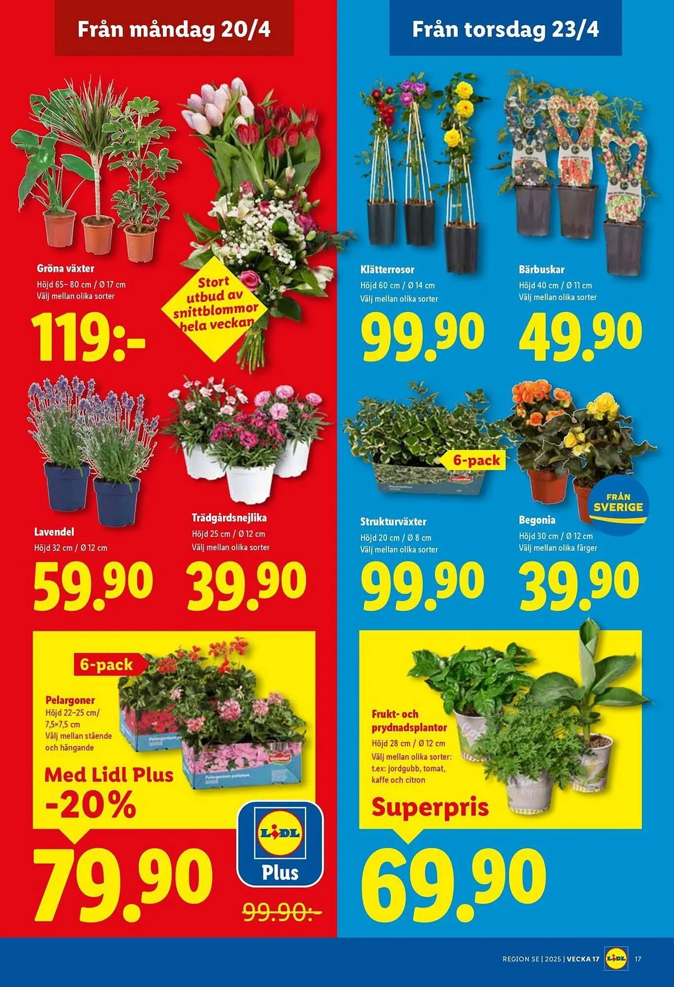 Lidl reklamblad från 20 april till 26 april 2026 - Reklamblad sidor 19