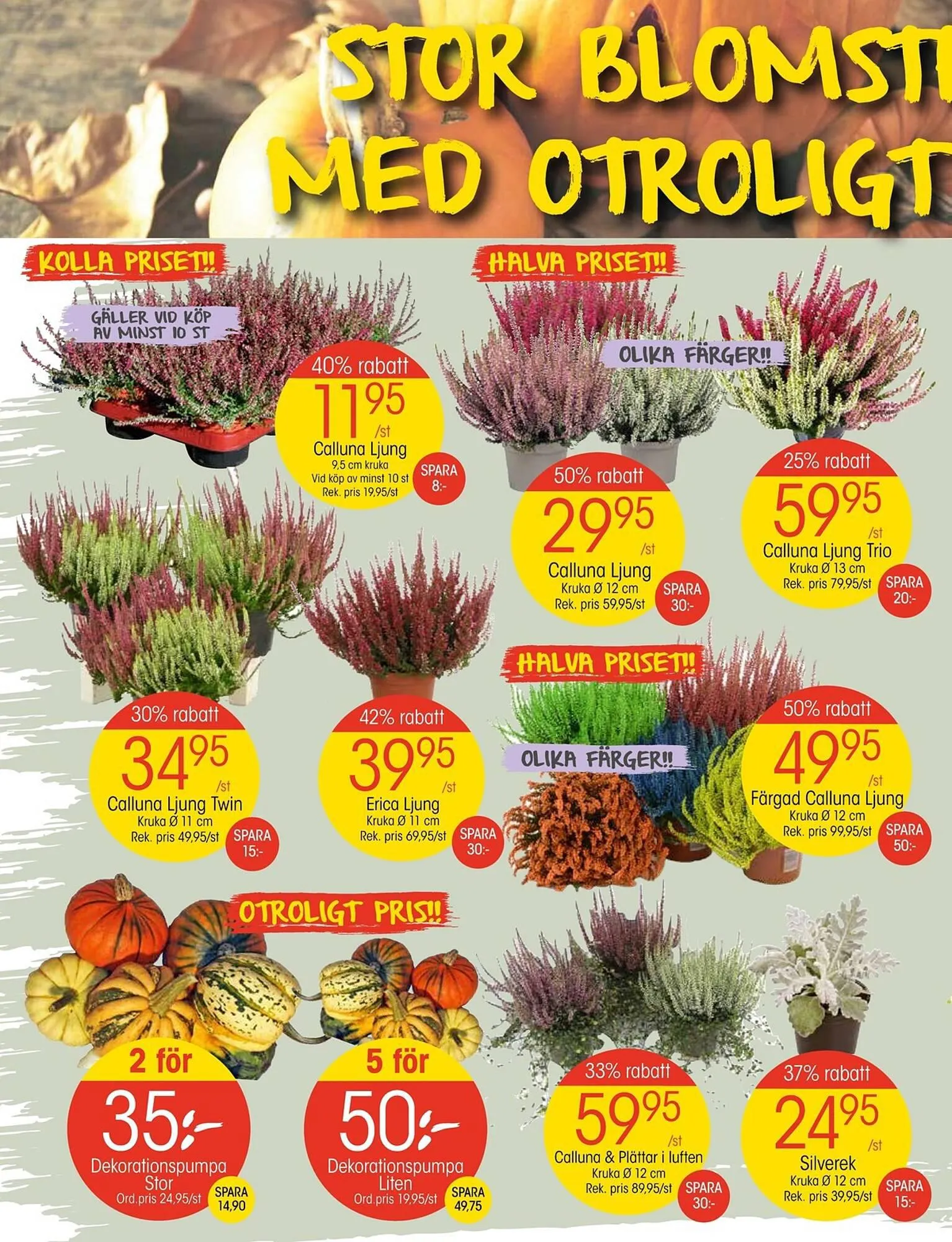 EKO reklamblad från 2 oktober till 8 oktober 2023 - Reklamblad sidor 2