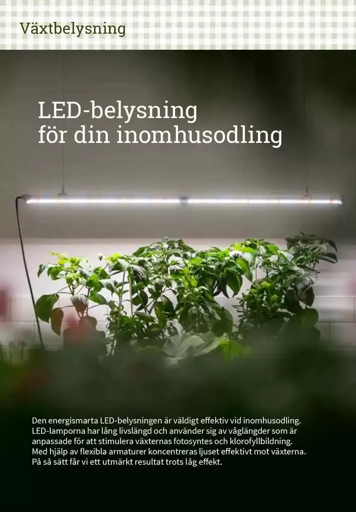 Frökatalog 2025! från 23 januari till 31 december 2025 - Reklamblad sidor 336