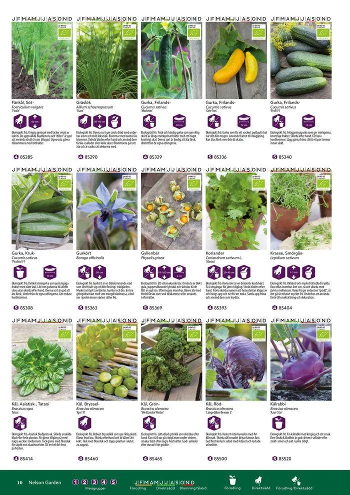 Nelson Gardens frökatalog 2024 är här! från 6 mars till 31 december 2024 - Reklamblad sidor 10