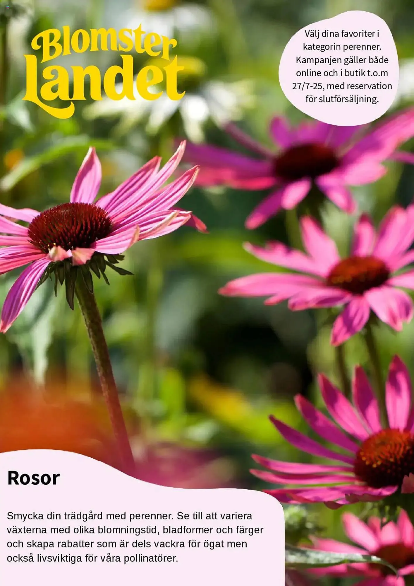 Blomsterlandet reklamblad från 23 juli till 6 augusti 2025 - Reklamblad sidor 1