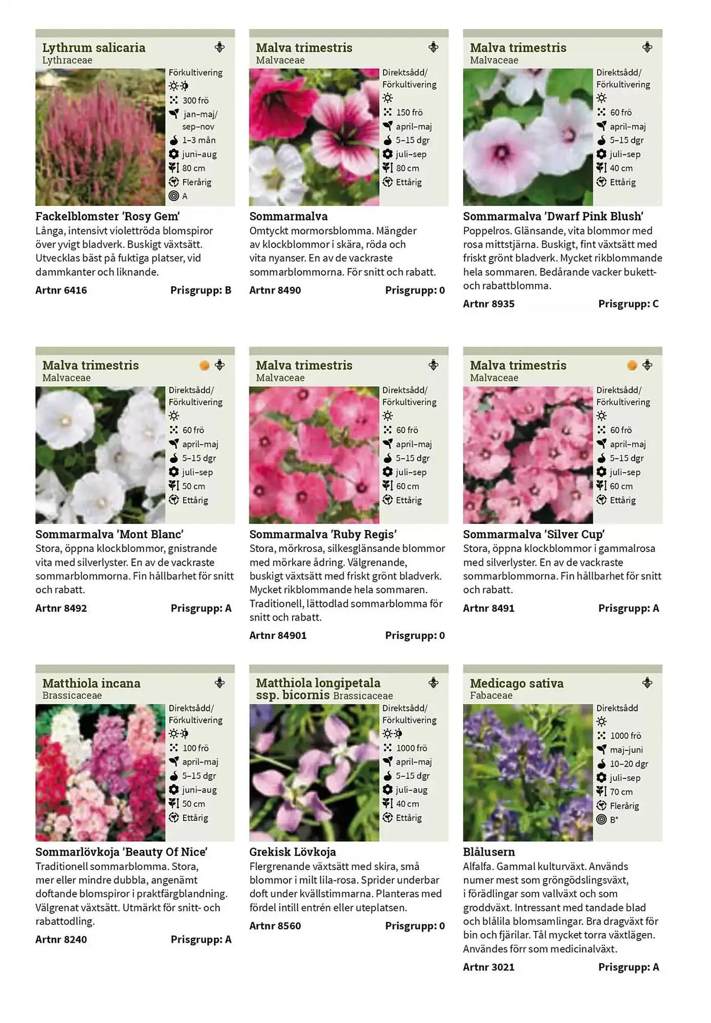 Impecta reklamblad från 23 januari till 31 december 2025 - Reklamblad sidor 224