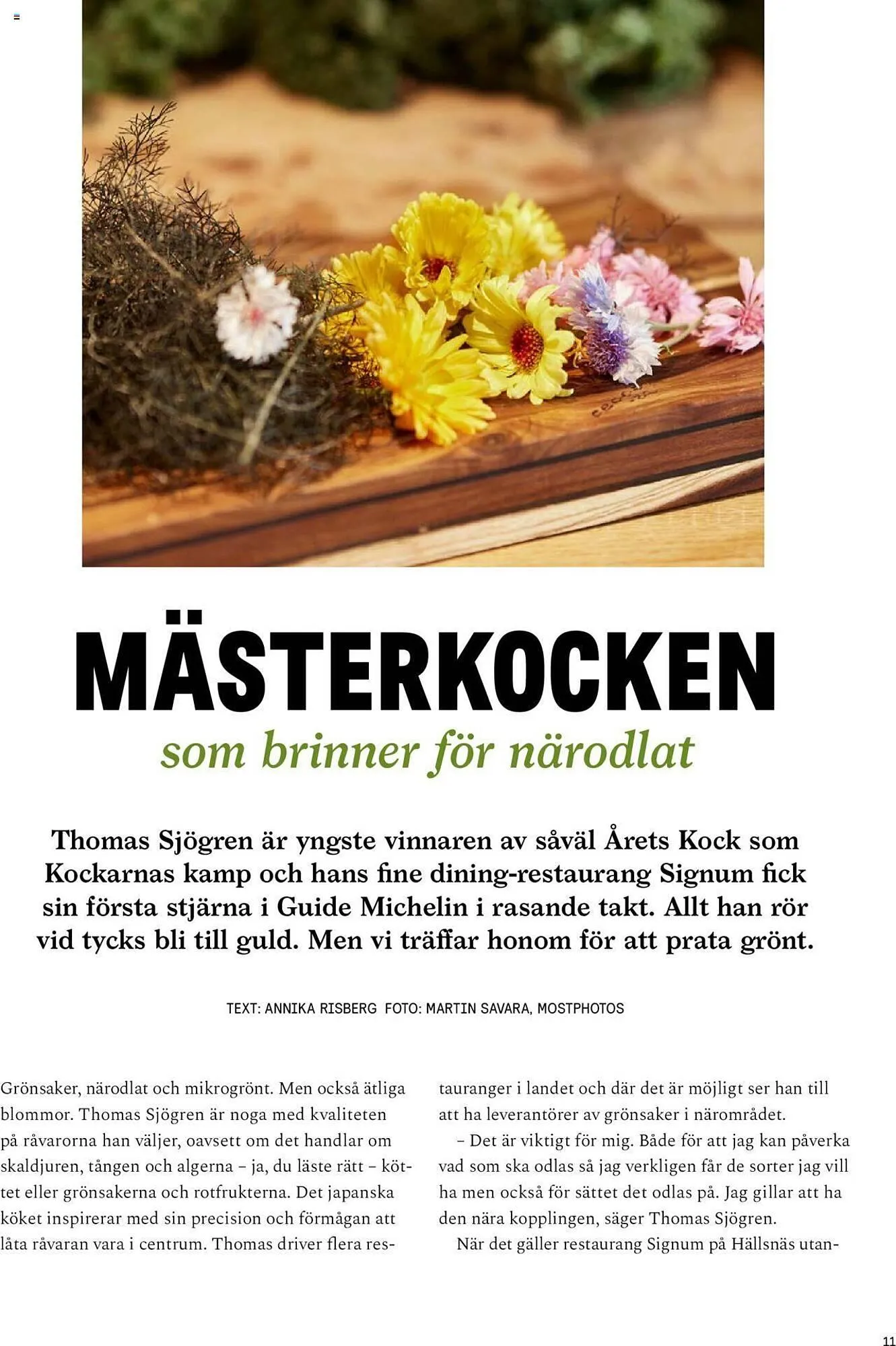 Blomsterlandet reklamblad från 13 maj till 26 maj 2024 - Reklamblad sidor 11