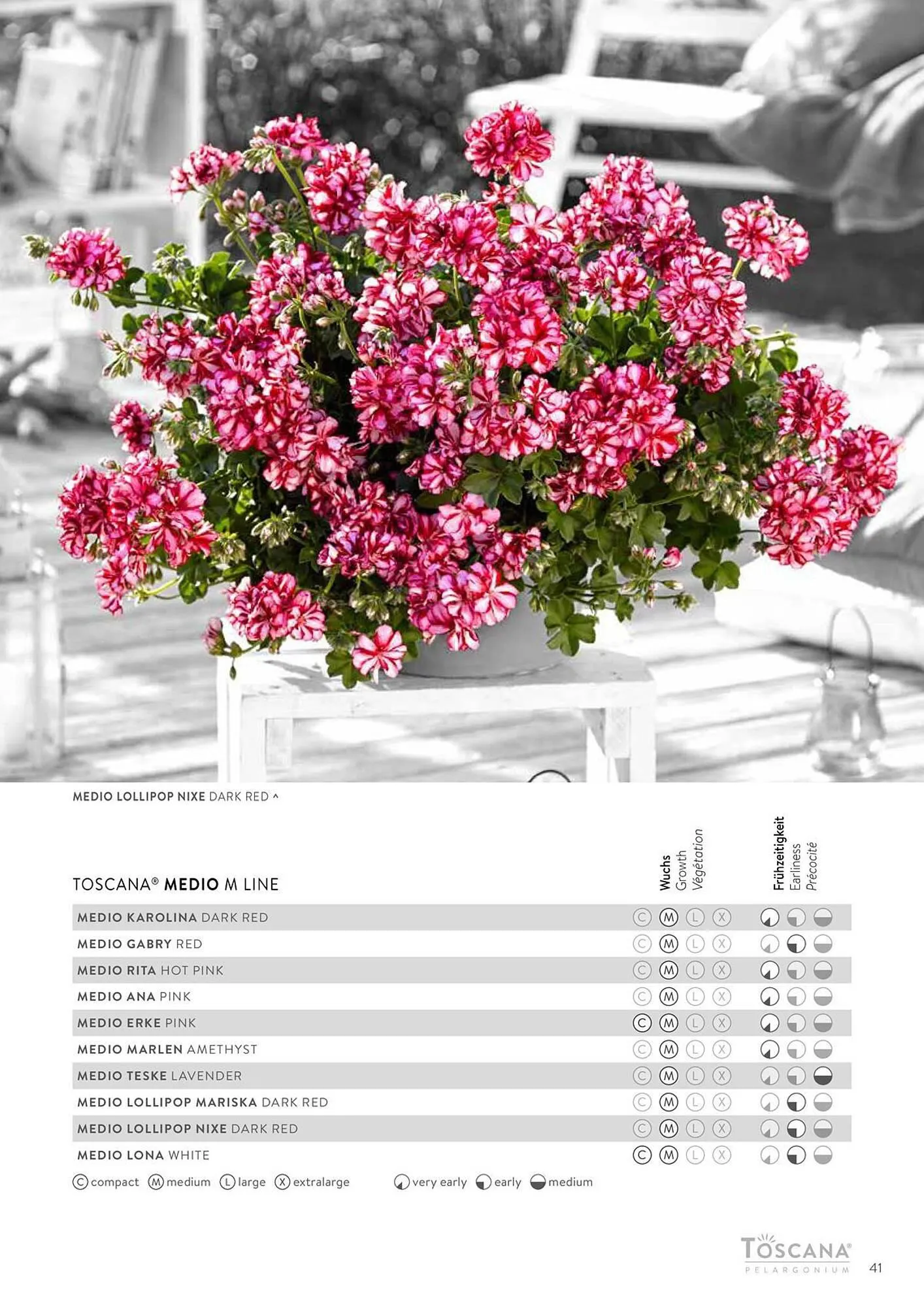 Harald Nyborg reklamblad från 15 februari till 31 december 2024 - Reklamblad sidor 41