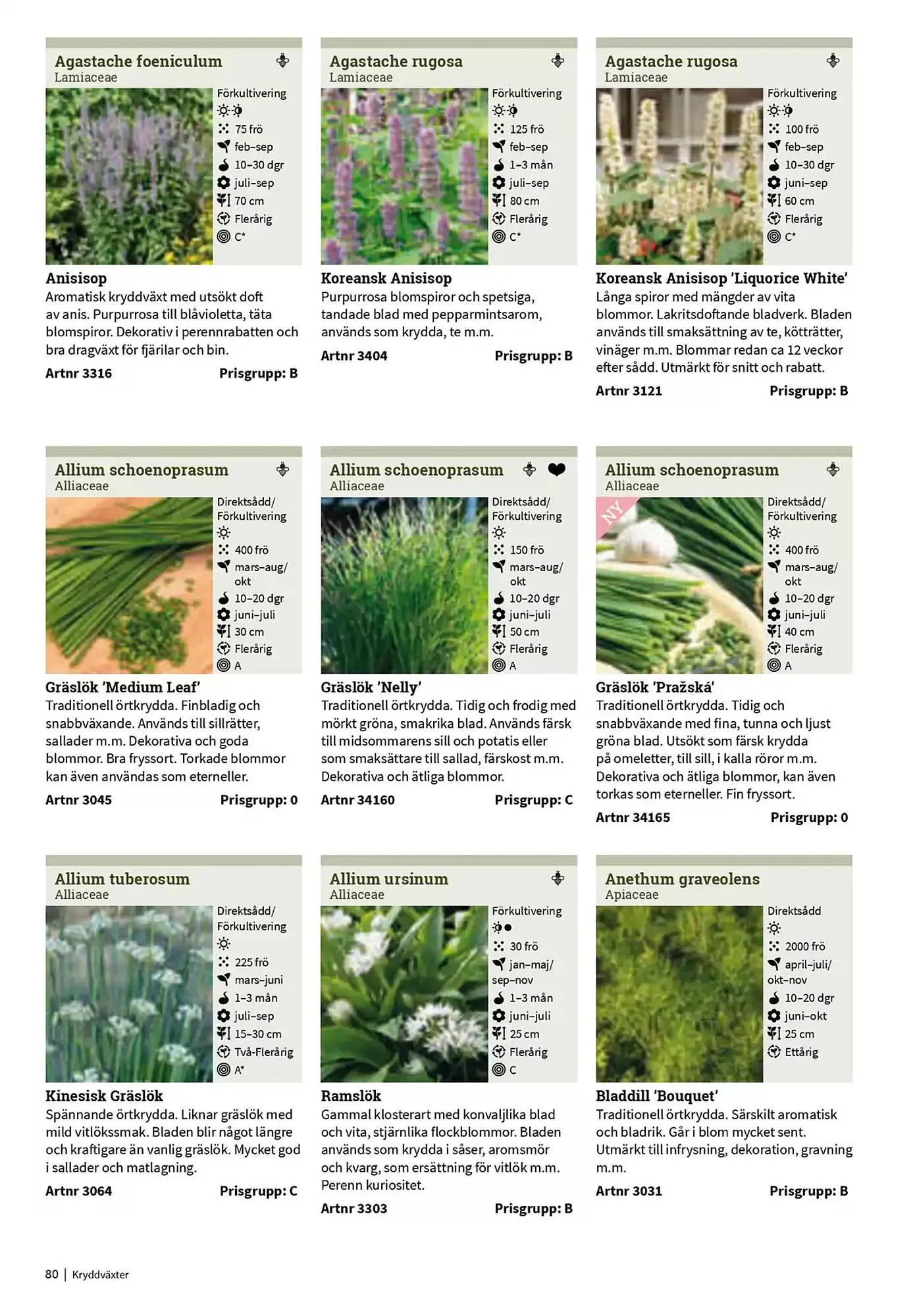 Impecta reklamblad från 23 januari till 31 december 2025 - Reklamblad sidor 80