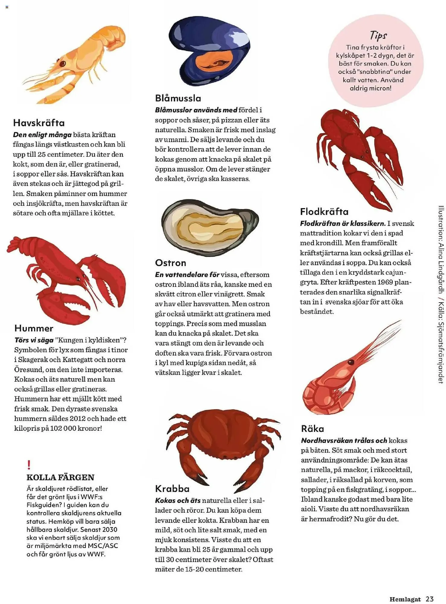 Hemköp reklamblad från 19 februari till 29 mars 2026 - Reklamblad sidor 23