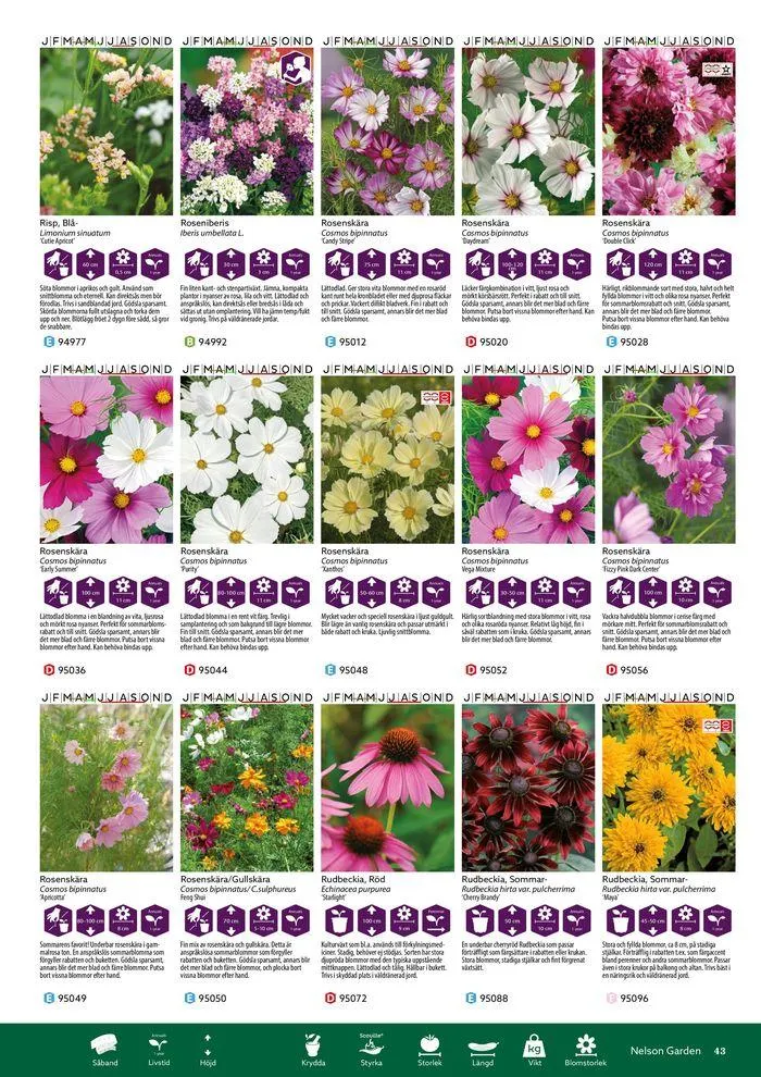 Nelson Gardens frökatalog 2024 är här! från 6 mars till 31 december 2024 - Reklamblad sidor 43