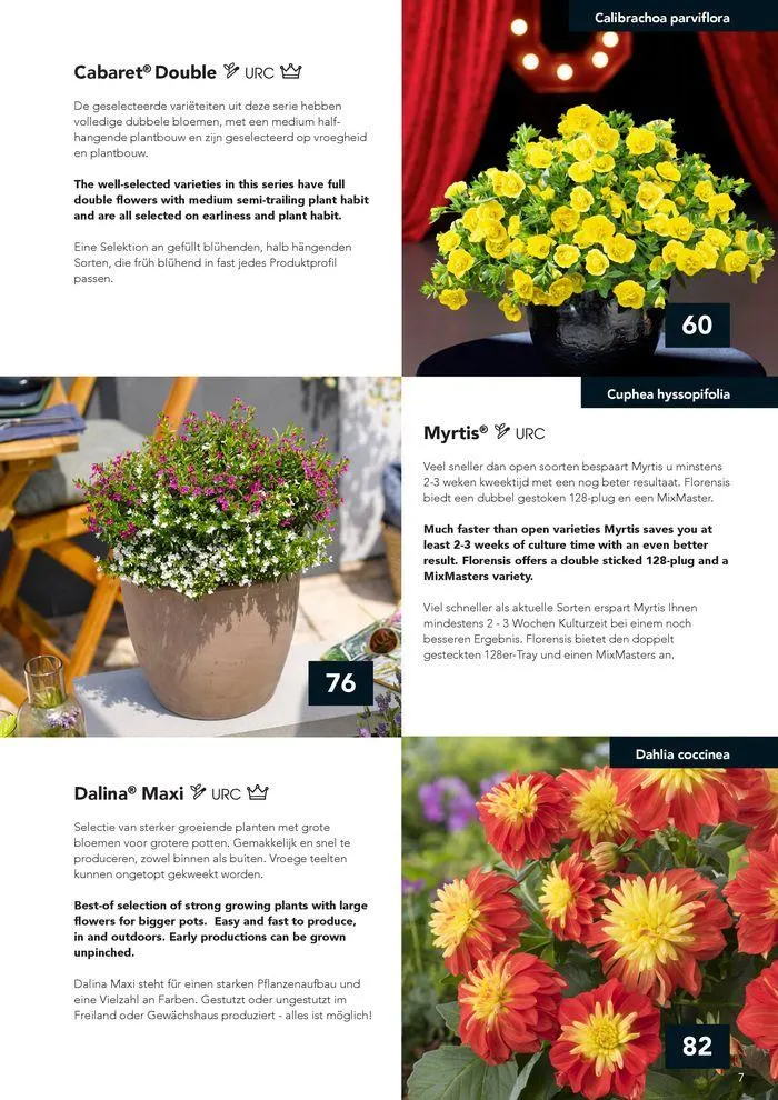 Annuals 2024 . från 15 februari till 31 december 2024 - Reklamblad sidor 11