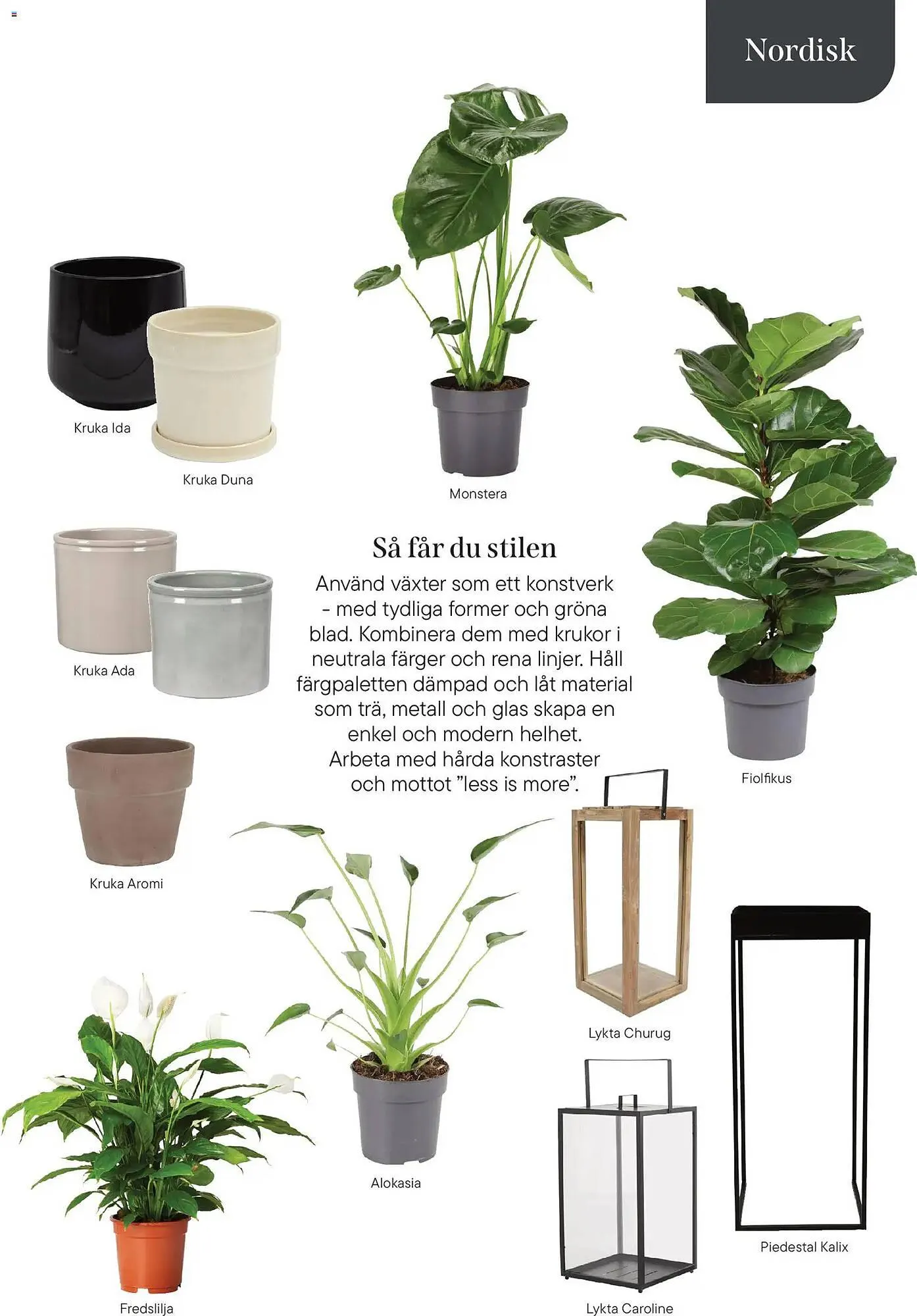 Plantagen annonsblad från 13 januari till 30 juni 2026 - Reklamblad sidor 13