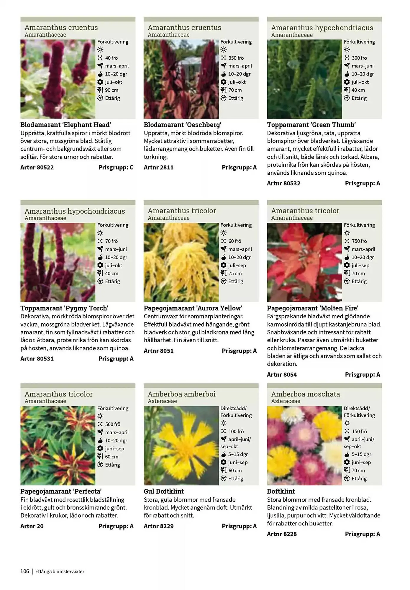 Impecta reklamblad från 23 januari till 31 december 2025 - Reklamblad sidor 106