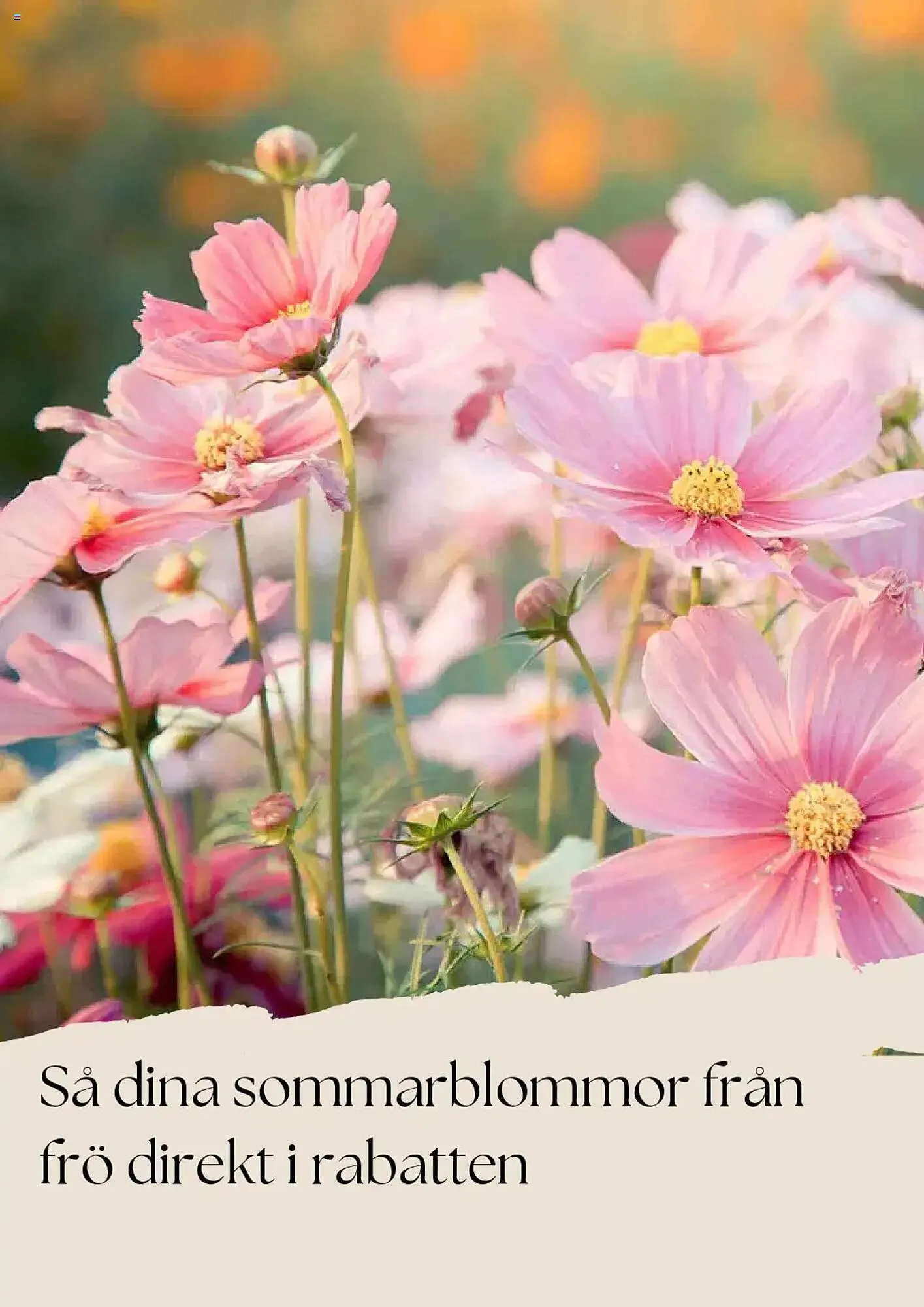 Plantagen reklamblad från 5 maj till 31 maj 2025 - Reklamblad sidor 8