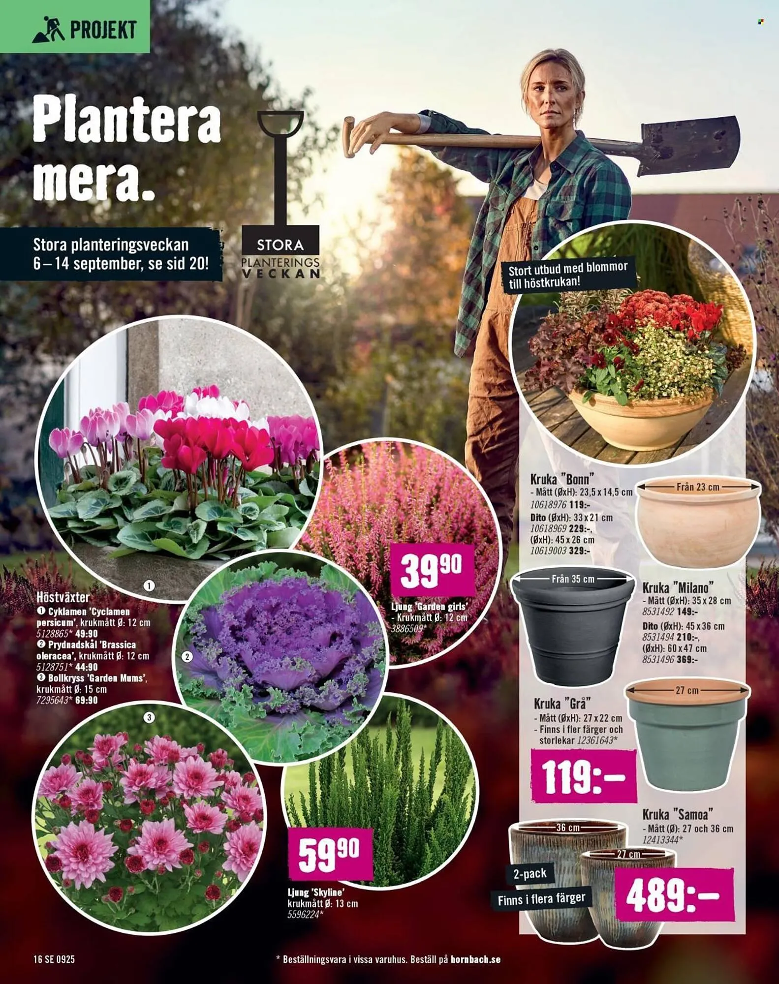 Hornbach reklamblad från 31 augusti till 24 september 2025 - Reklamblad sidor 16