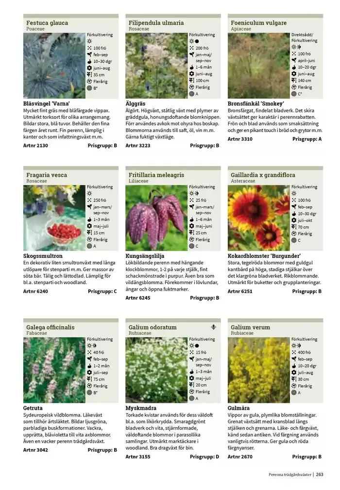 Frökatalog 2025! från 23 januari till 31 december 2025 - Reklamblad sidor 263