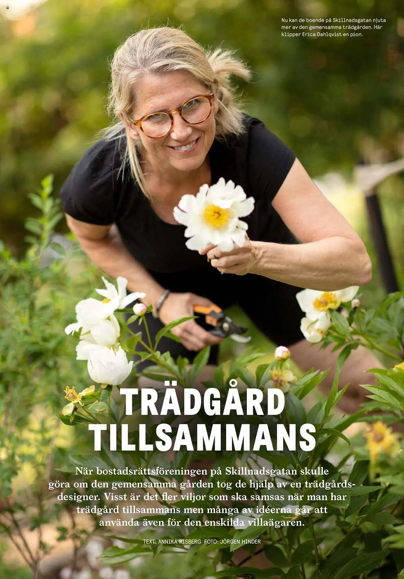 Blomsterlandet reklamblad från 25 september till 1 oktober 2023 - Reklamblad sidor 6