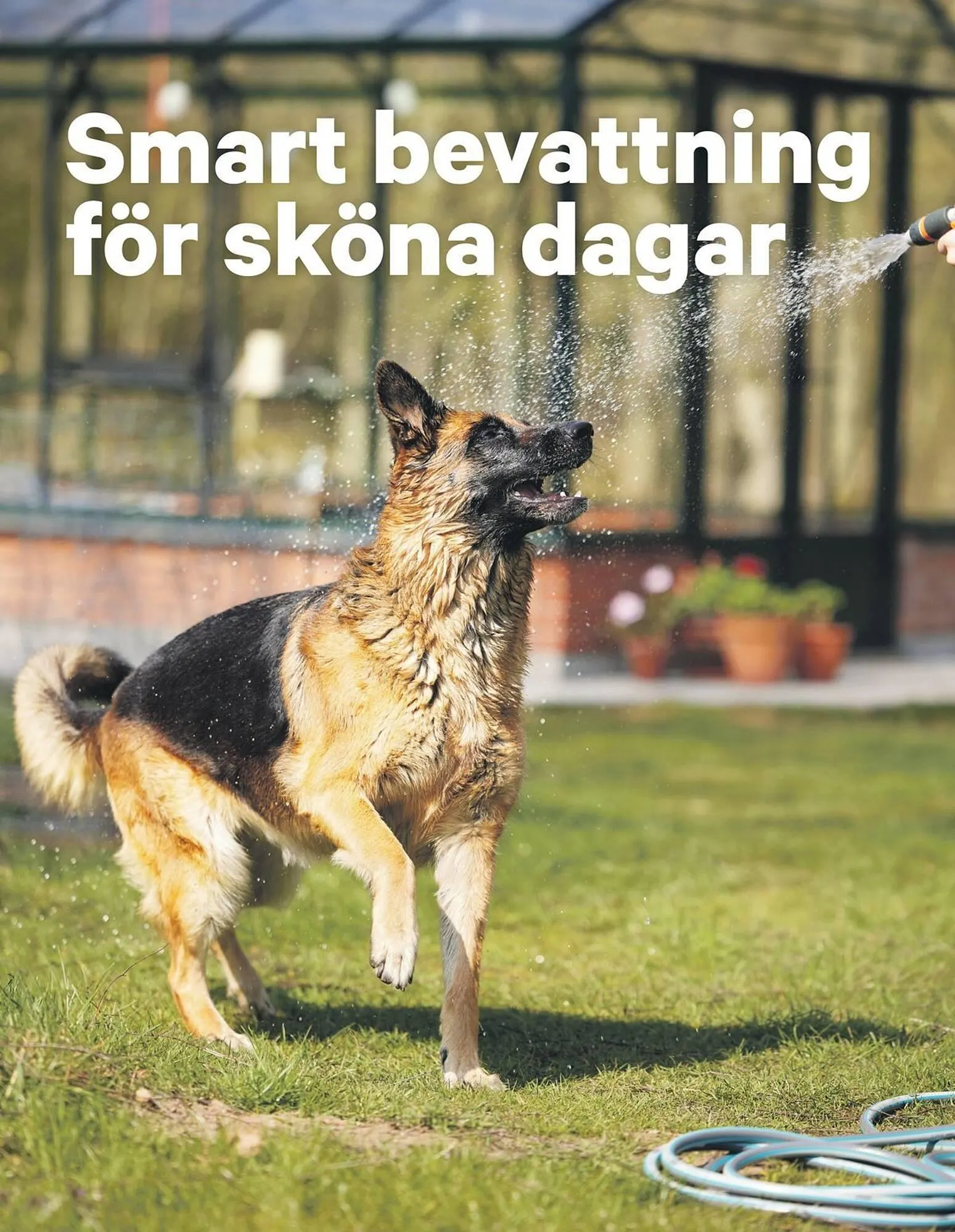 City Gross reklamblad från 22 september till 28 september 2025 - Reklamblad sidor 8