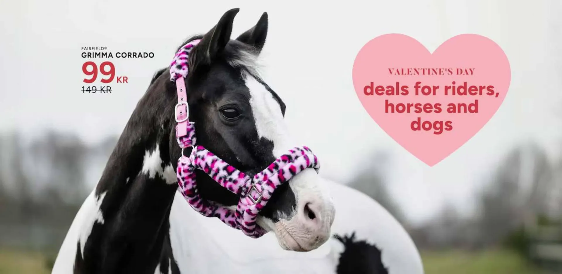 Hööks reklamblad från 10 februari till 14 februari 2026 - Reklamblad sidor 2