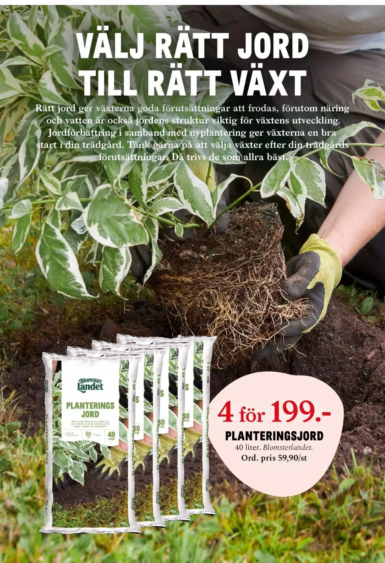 Blomsterlandet - erbjudanden från 27 maj till 2 juni 2024 - Reklamblad sidor 7