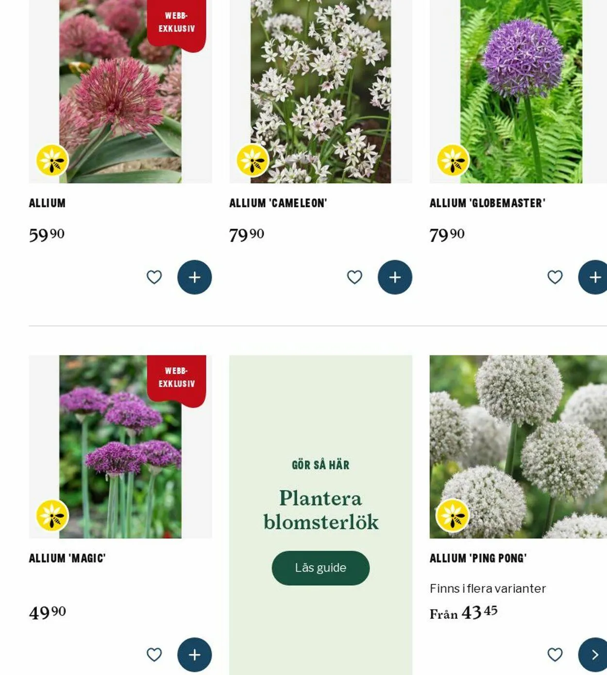 Blomsterlandet - 1