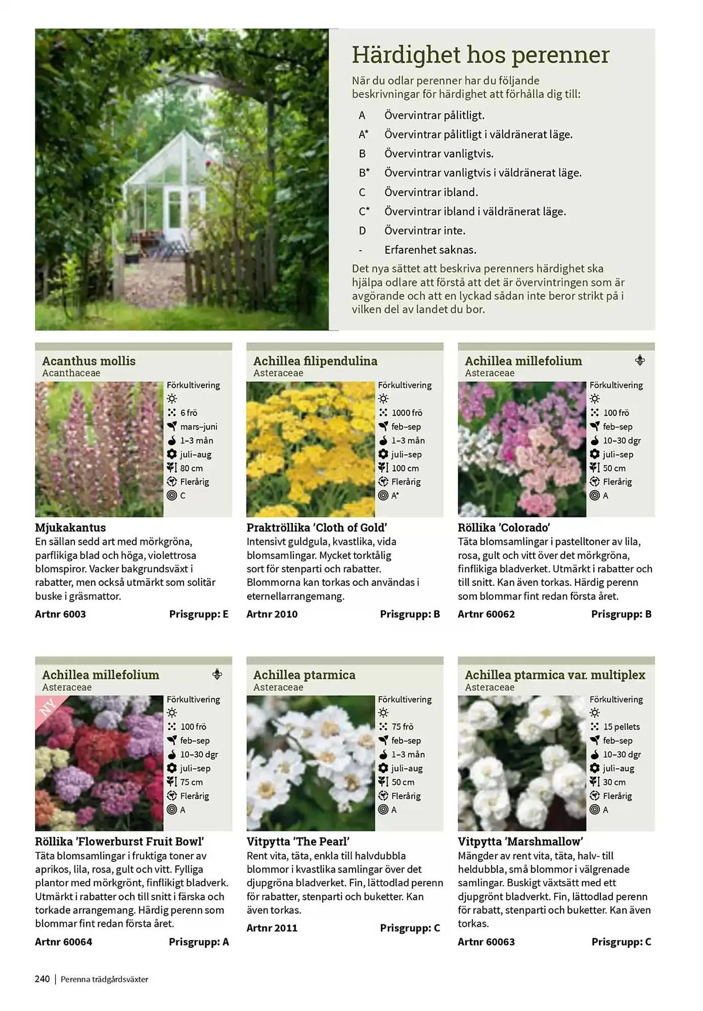 Impecta reklamblad från 23 januari till 31 december 2025 - Reklamblad sidor 240