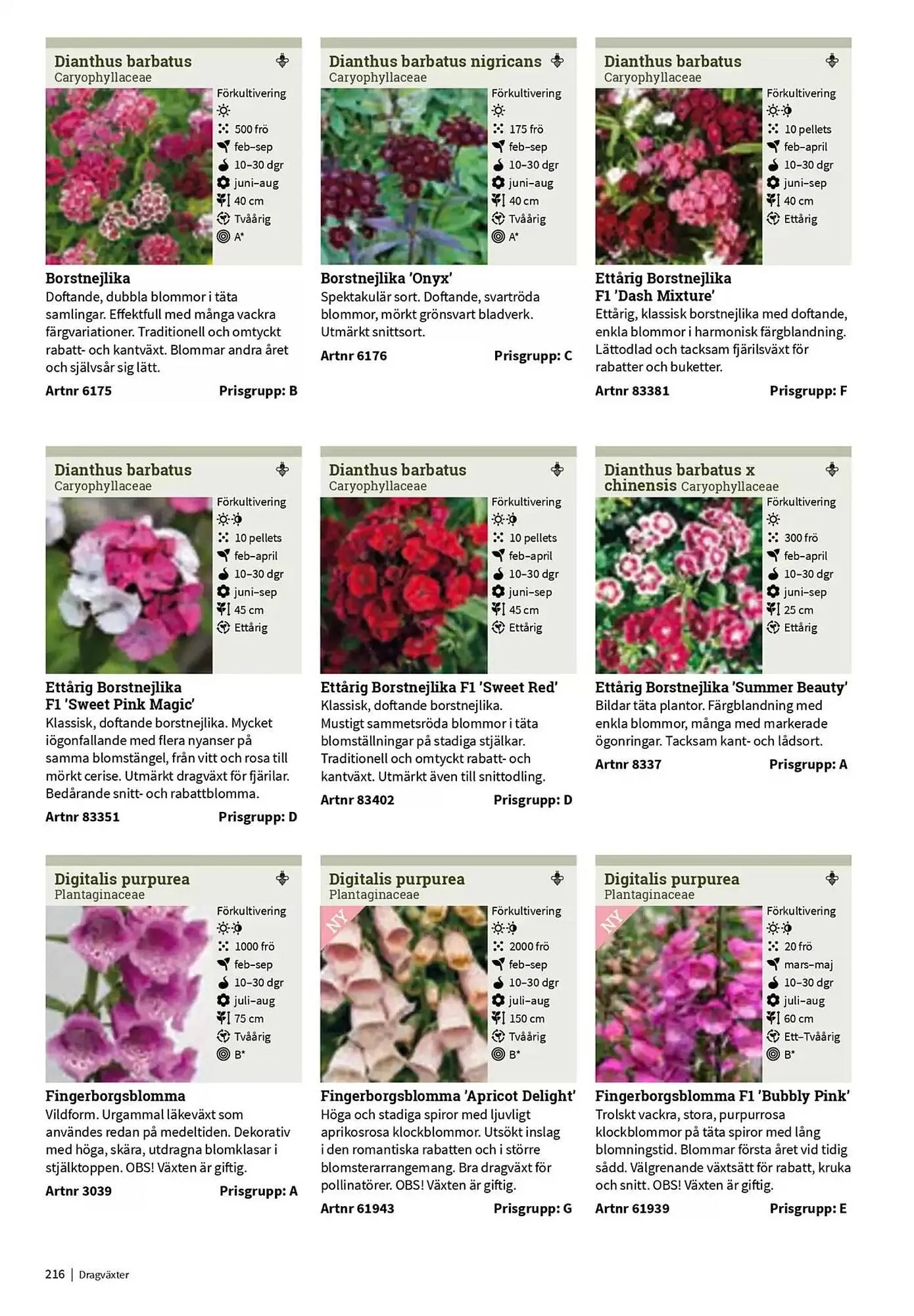 Impecta reklamblad från 23 januari till 31 december 2025 - Reklamblad sidor 216