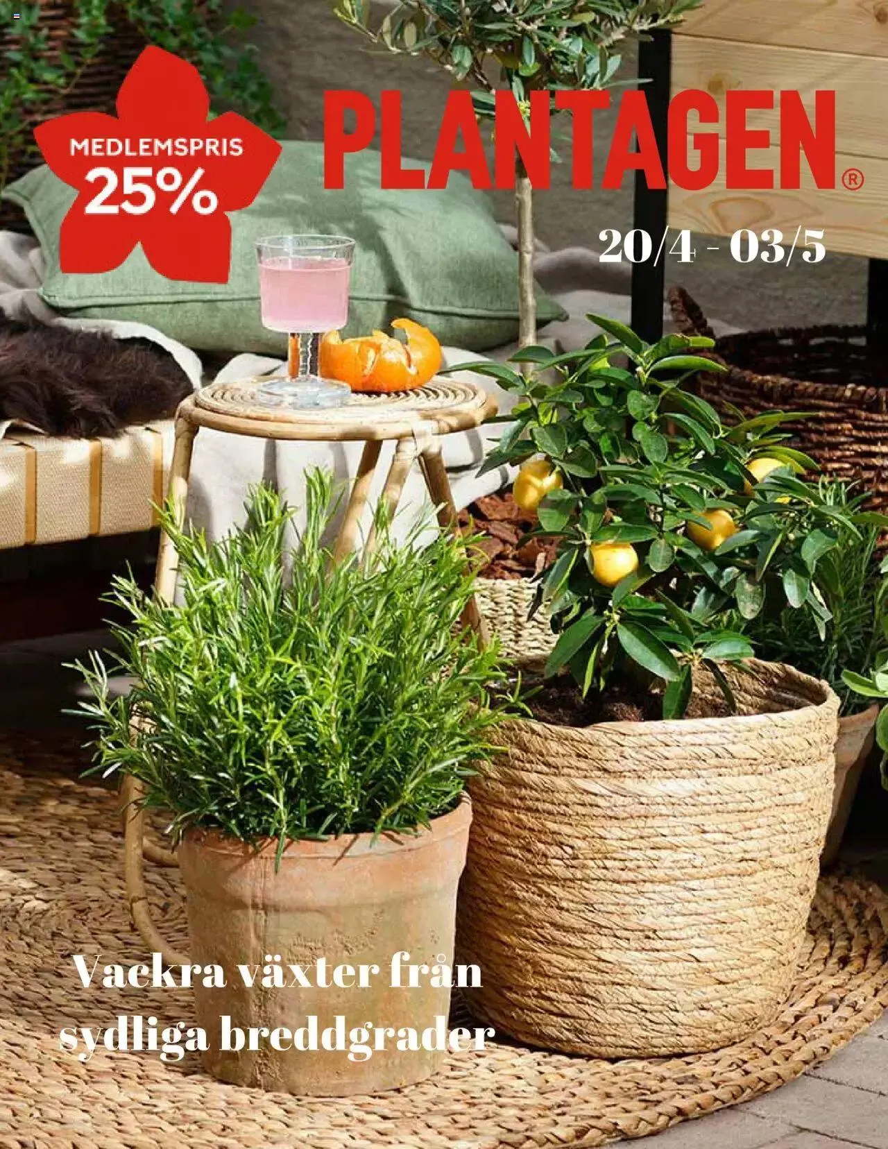 Plantagen - erbjudanden - 0