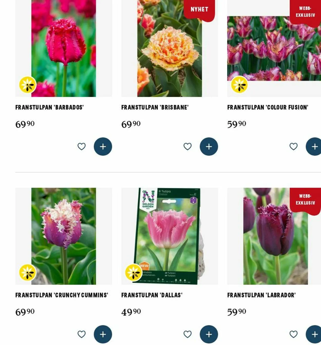 Blomsterlandet från 25 augusti till 3 september 2025 - Reklamblad sidor 12