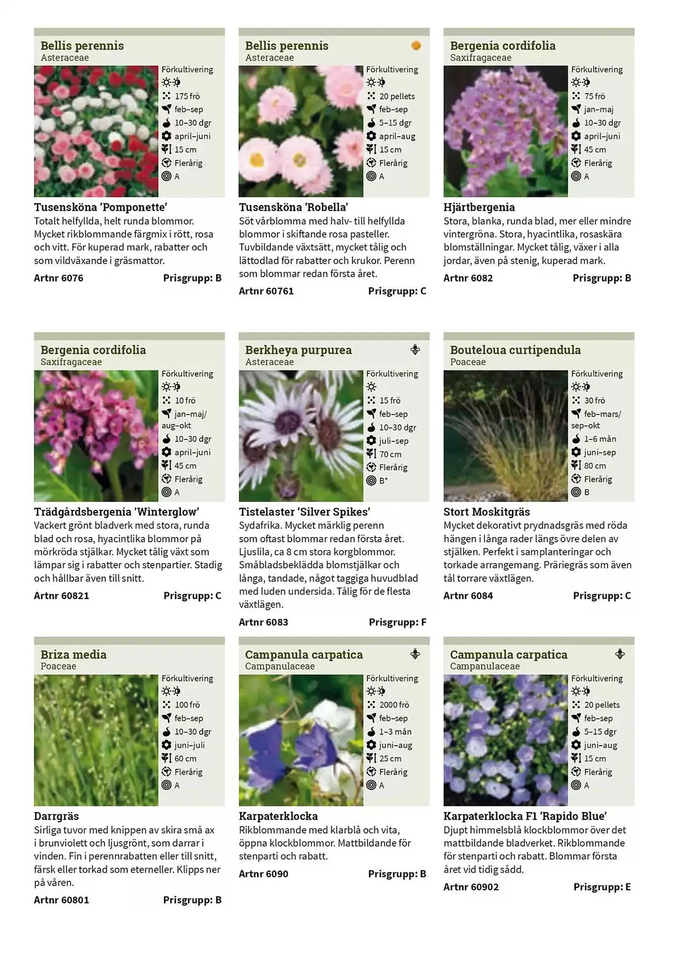 Impecta reklamblad från 23 januari till 31 december 2025 - Reklamblad sidor 250