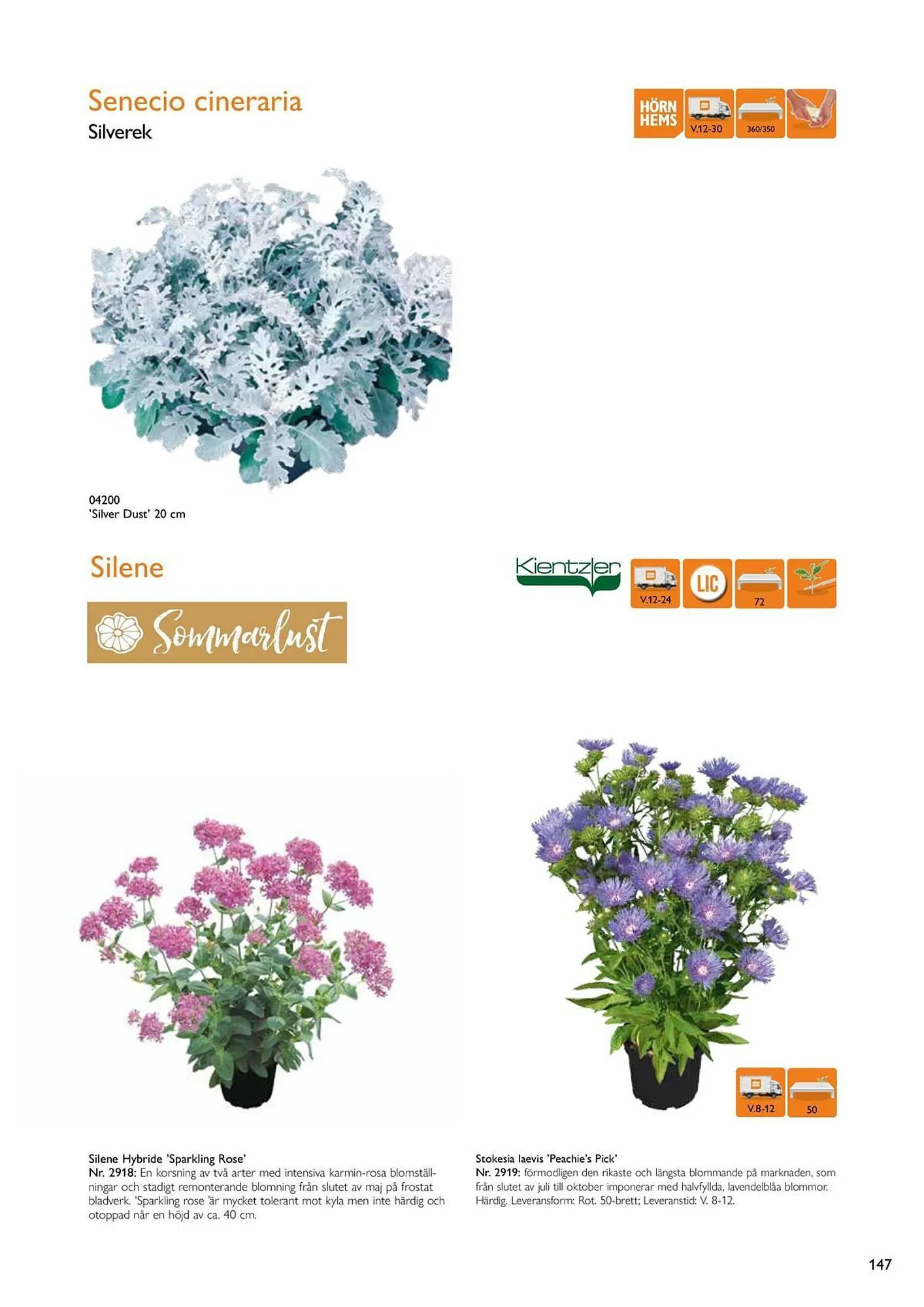 Harald Nyborg reklamblad från 15 februari till 31 december 2024 - Reklamblad sidor 145