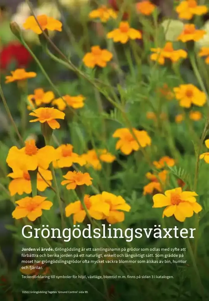Frökatalog 2025! från 23 januari till 31 december 2025 - Reklamblad sidor 97