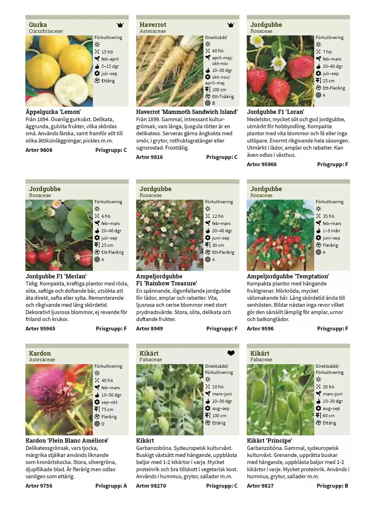 Impecta reklamblad från 23 januari till 31 december 2025 - Reklamblad sidor 25