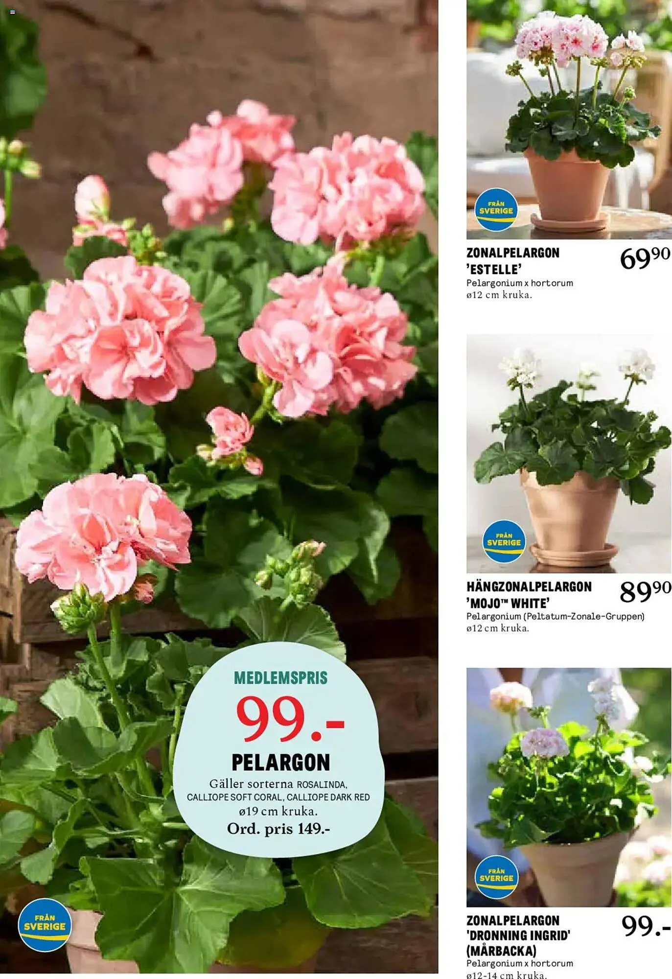Blomsterlandet reklamblad från 24 mars till 30 mars 2025 - Reklamblad sidor 2