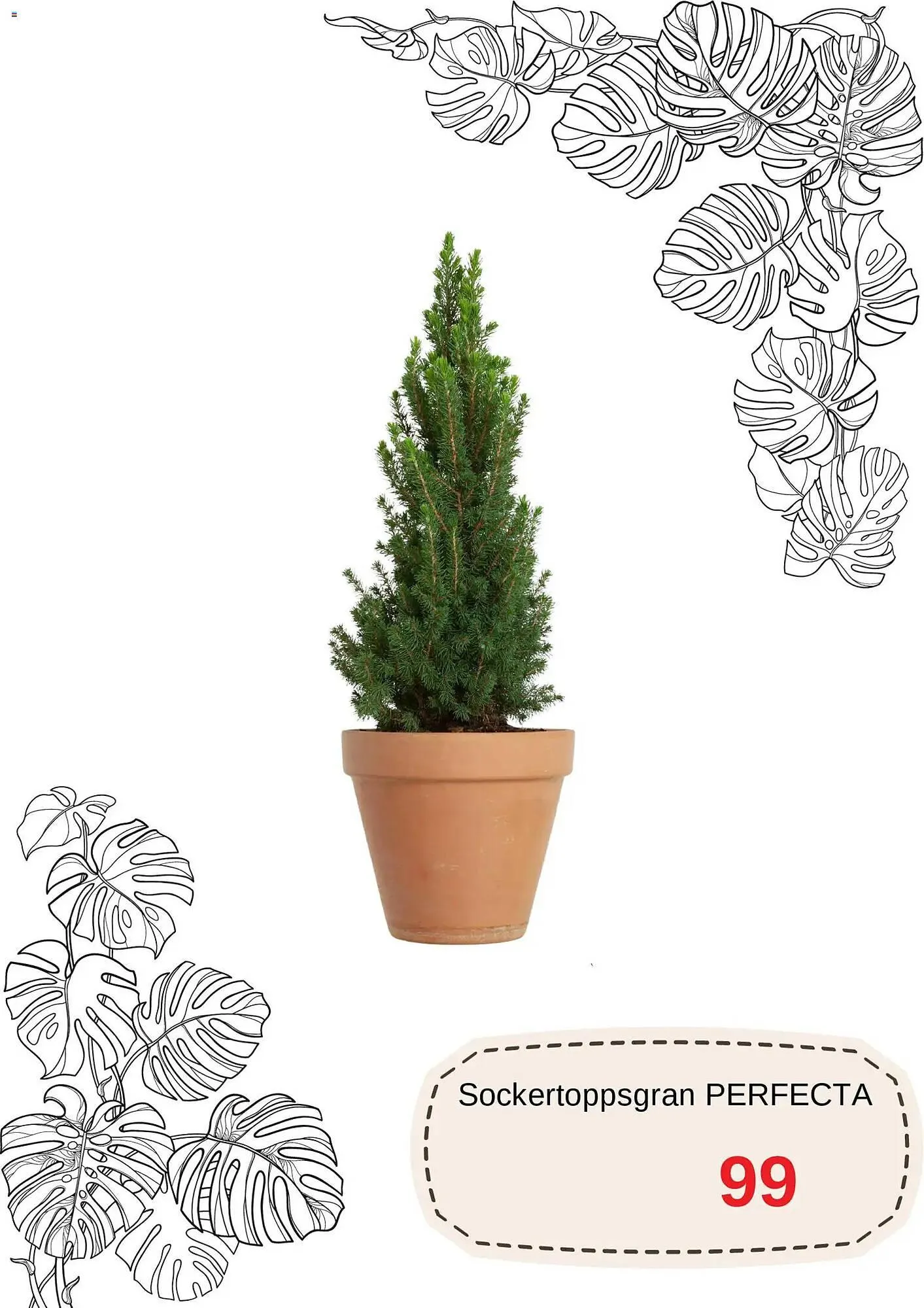 Blomsterlandet reklamblad från 1 december till 31 december 2025 - Reklamblad sidor 9