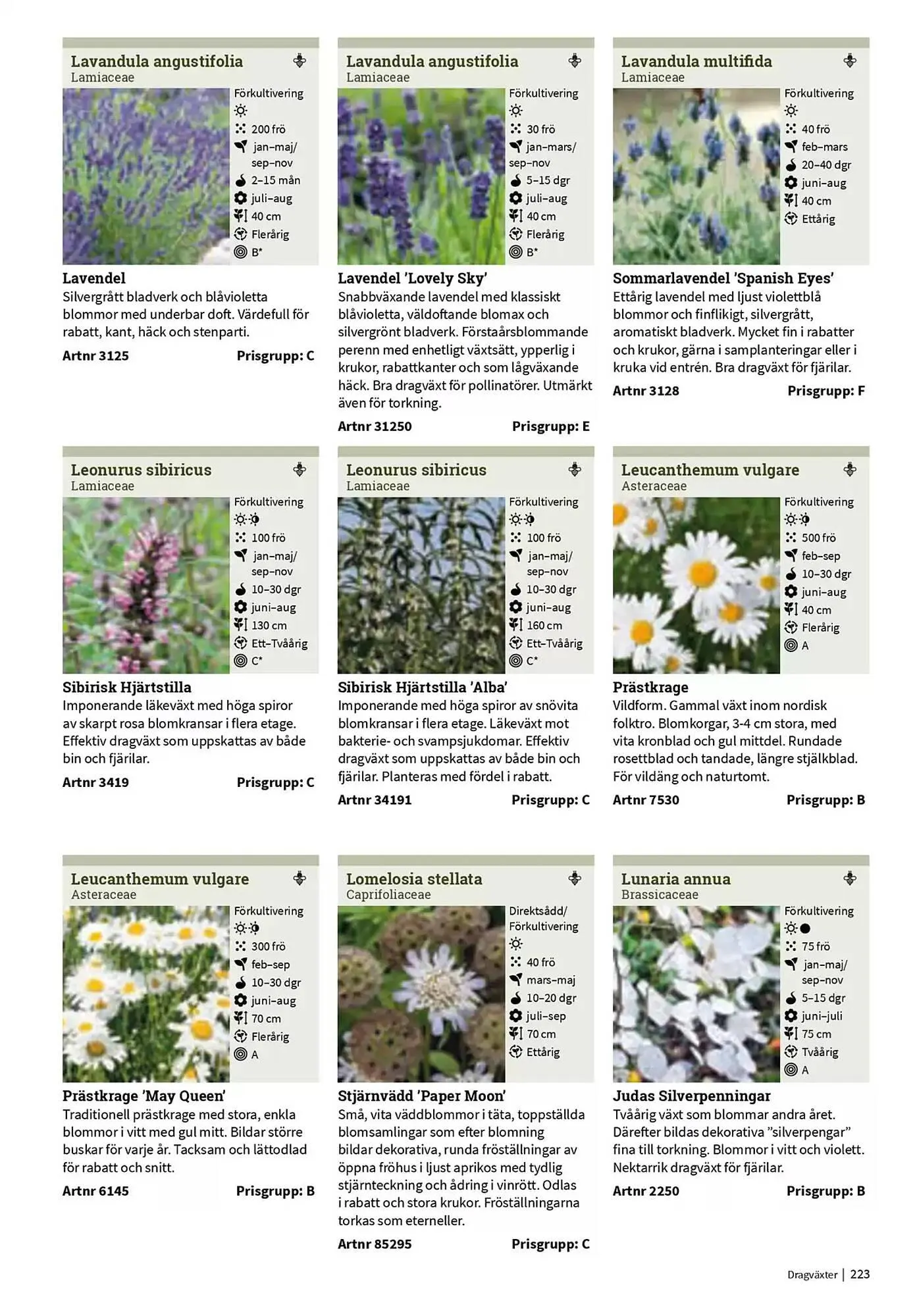 Impecta reklamblad från 23 januari till 31 december 2025 - Reklamblad sidor 223