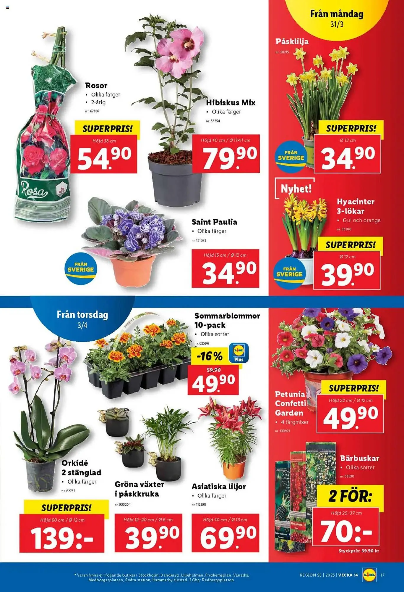 Lidl reklamblad från 31 mars till 6 april 2025 - Reklamblad sidor 19