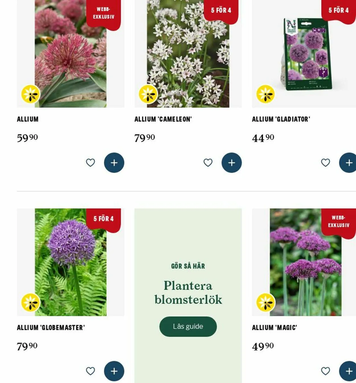 Blomsterlandet från 8 september till 17 september 2025 - Reklamblad sidor 1