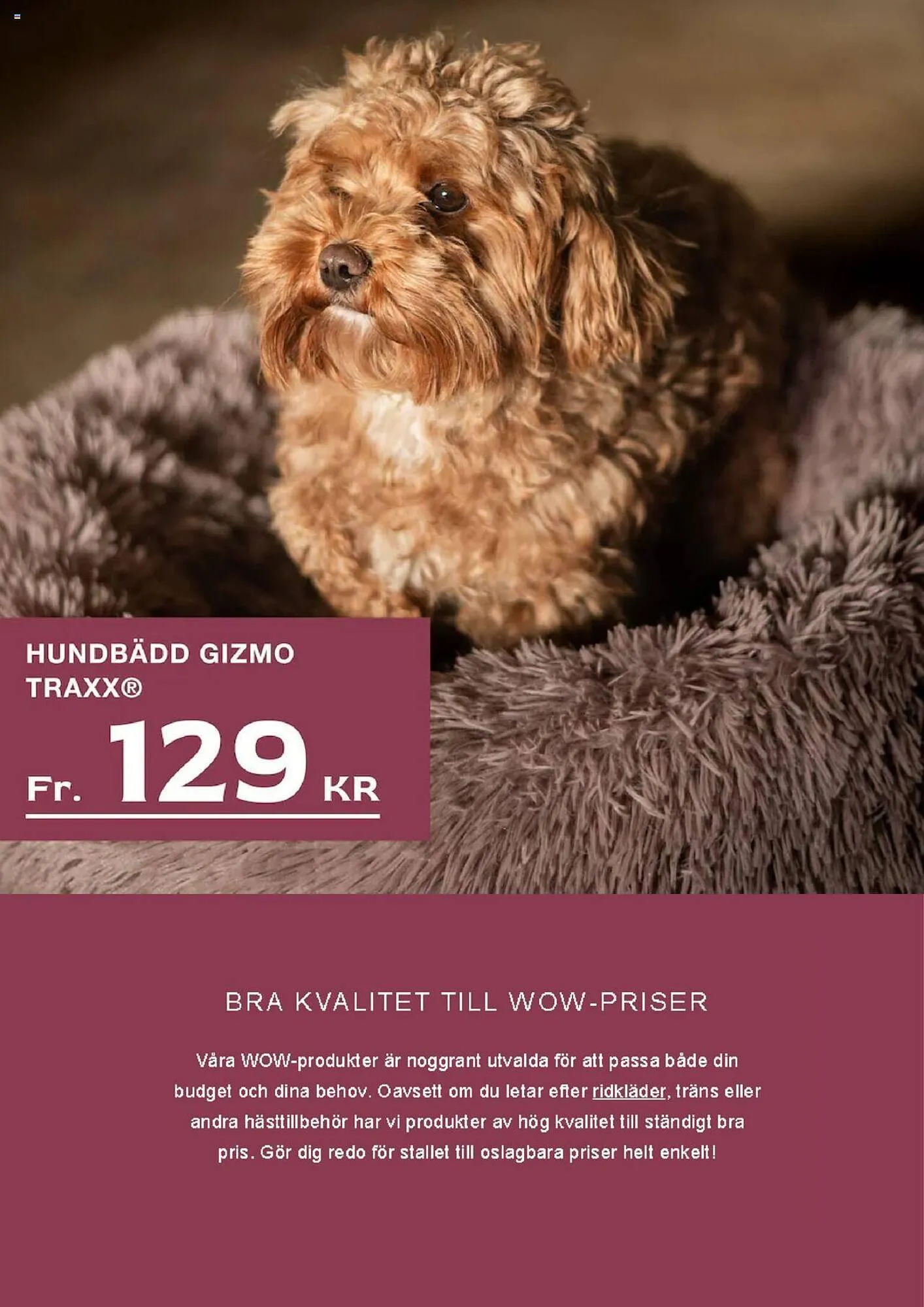Hööks reklamblad från 15 september till 30 september 2024 - Reklamblad sidor 13