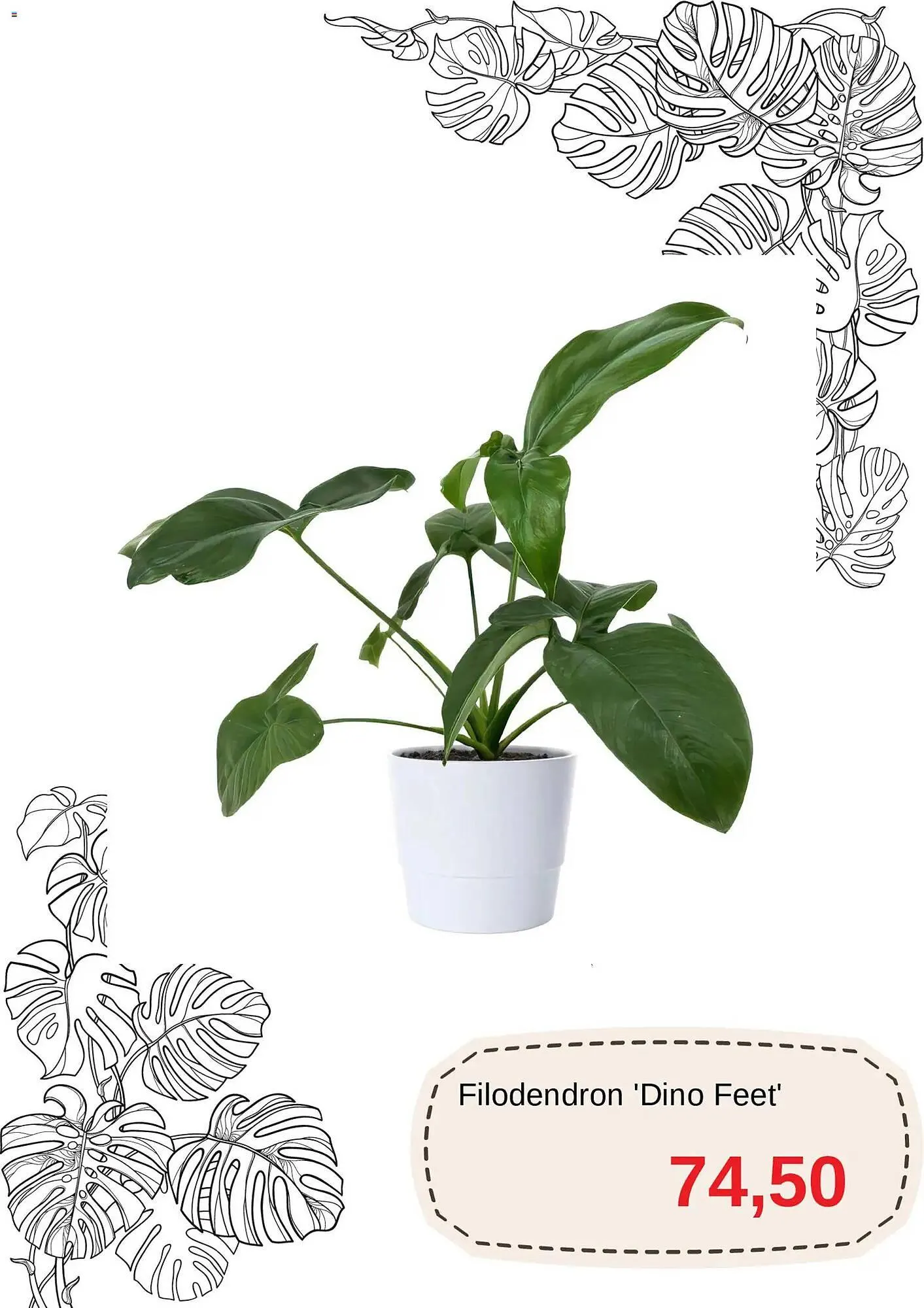 Blomsterlandet reklamblad från 11 mars till 10 april 2026 - Reklamblad sidor 9