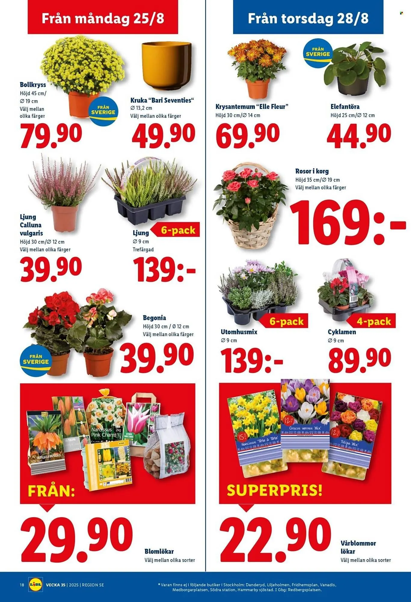 Lidl reklamblad från 25 augusti till 31 augusti 2025 - Reklamblad sidor 20