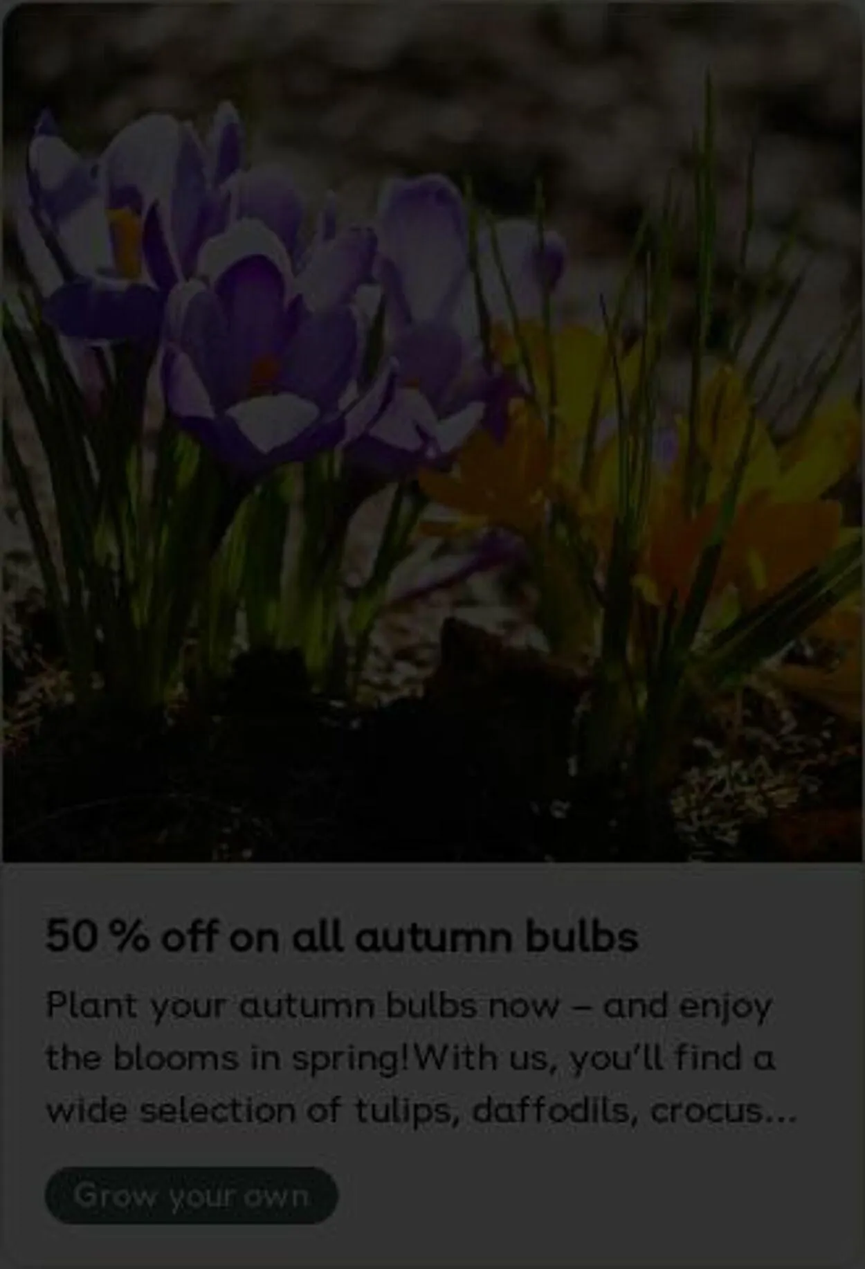 Plantagen från 6 oktober till 15 oktober 2025 - Reklamblad sidor 4