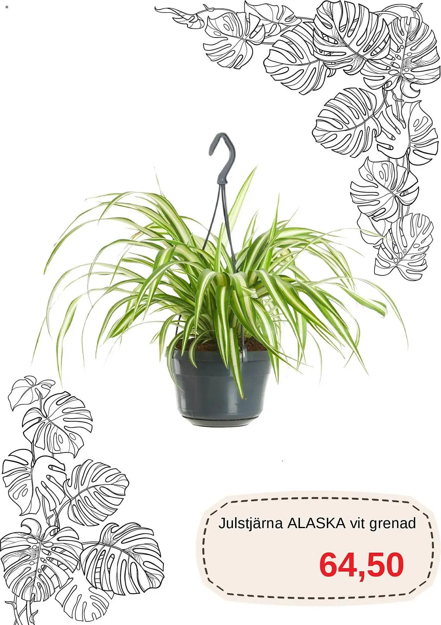 Blomsterlandet reklamblad från 11 mars till 10 april 2026 - Reklamblad sidor 5