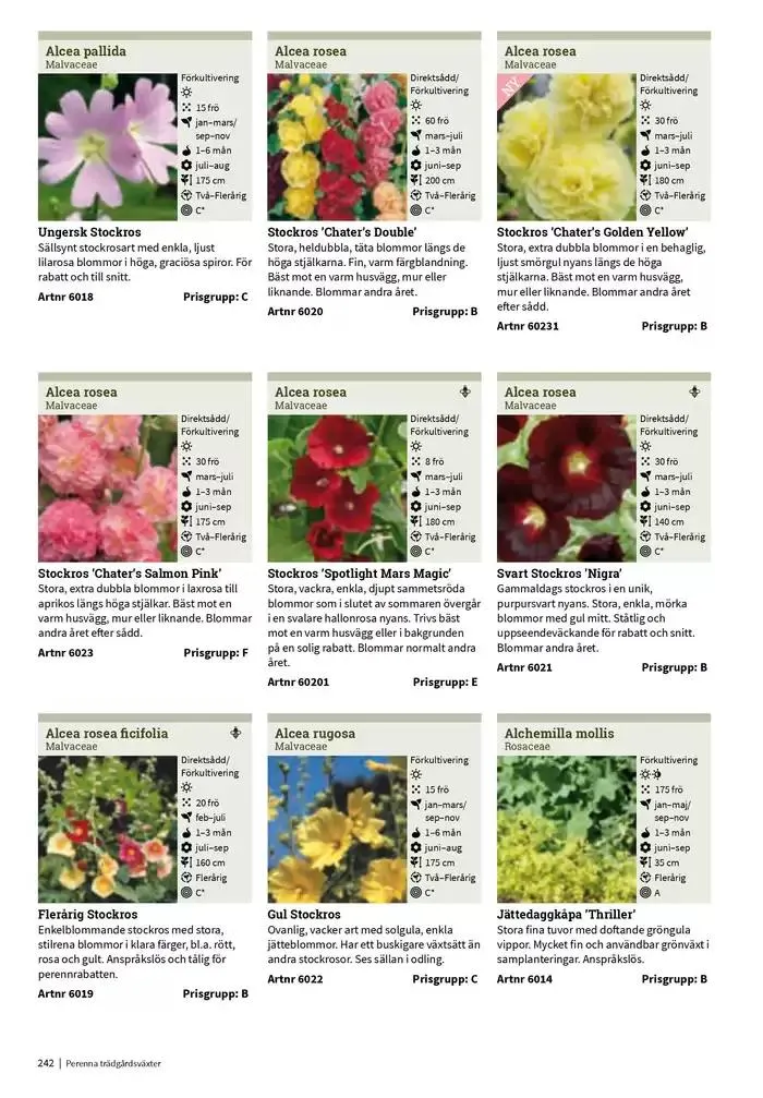 Frökatalog 2025! från 23 januari till 31 december 2025 - Reklamblad sidor 242