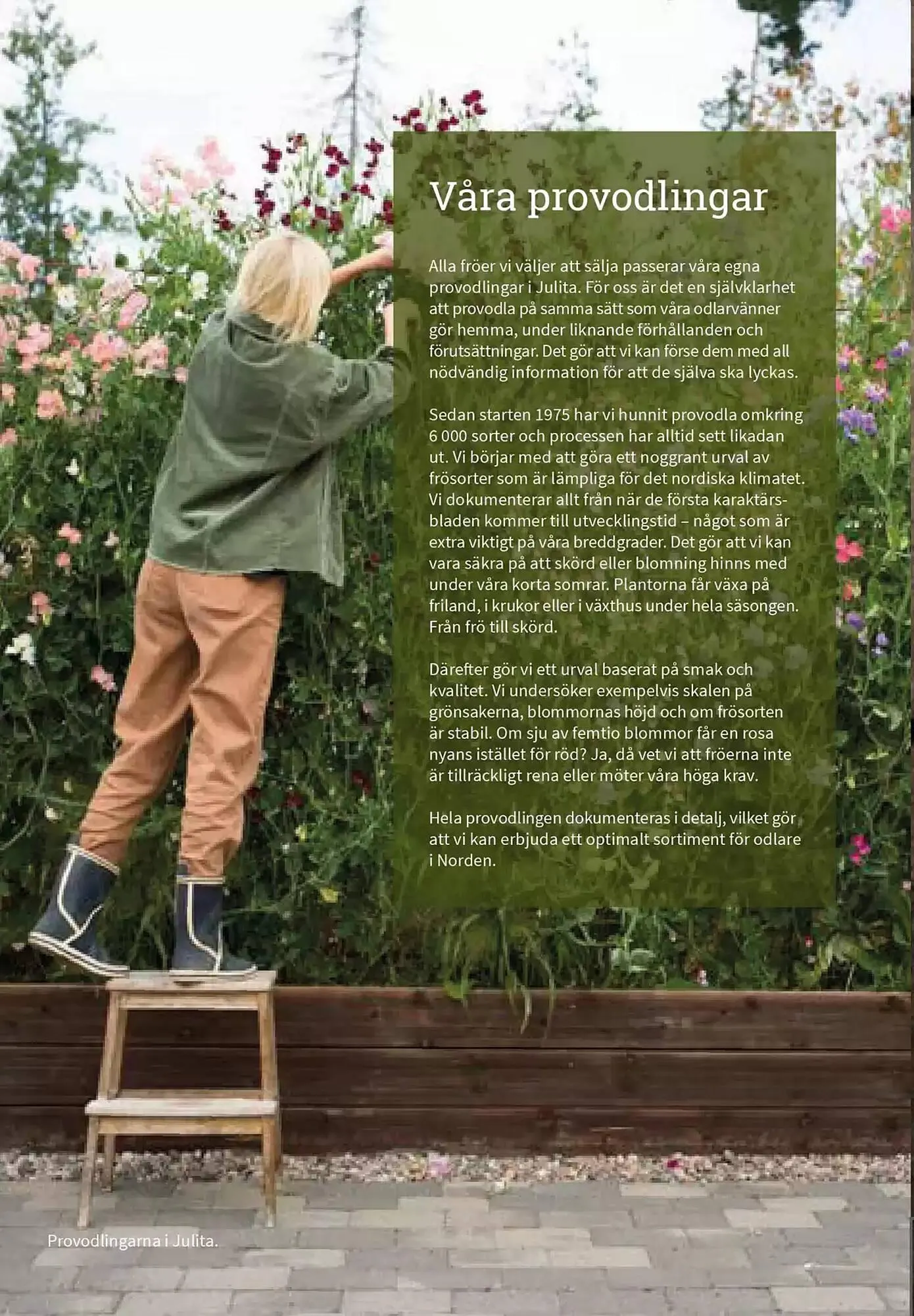 Impecta reklamblad från 23 januari till 31 december 2025 - Reklamblad sidor 6