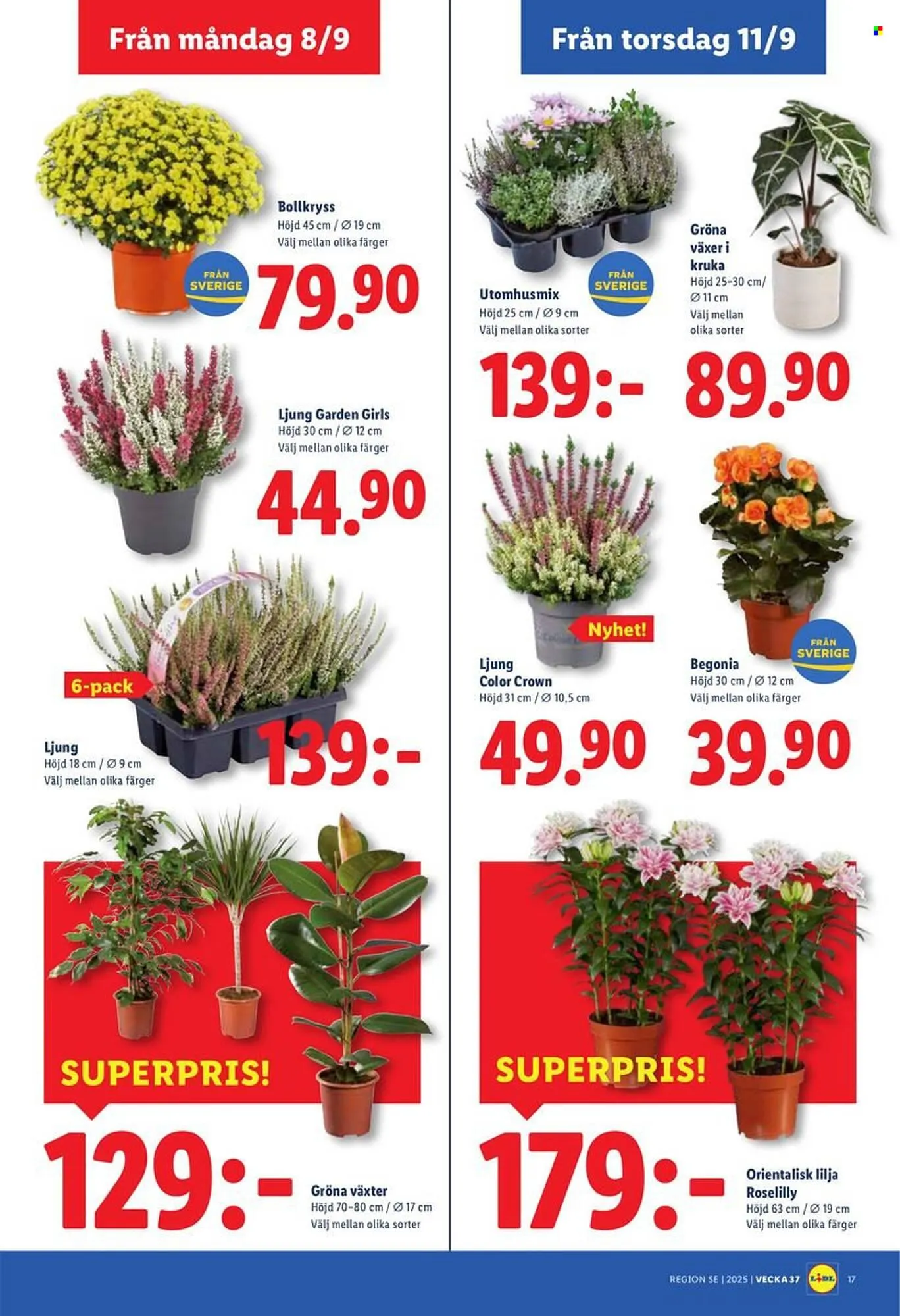 Lidl reklamblad från 8 september till 14 september 2025 - Reklamblad sidor 19