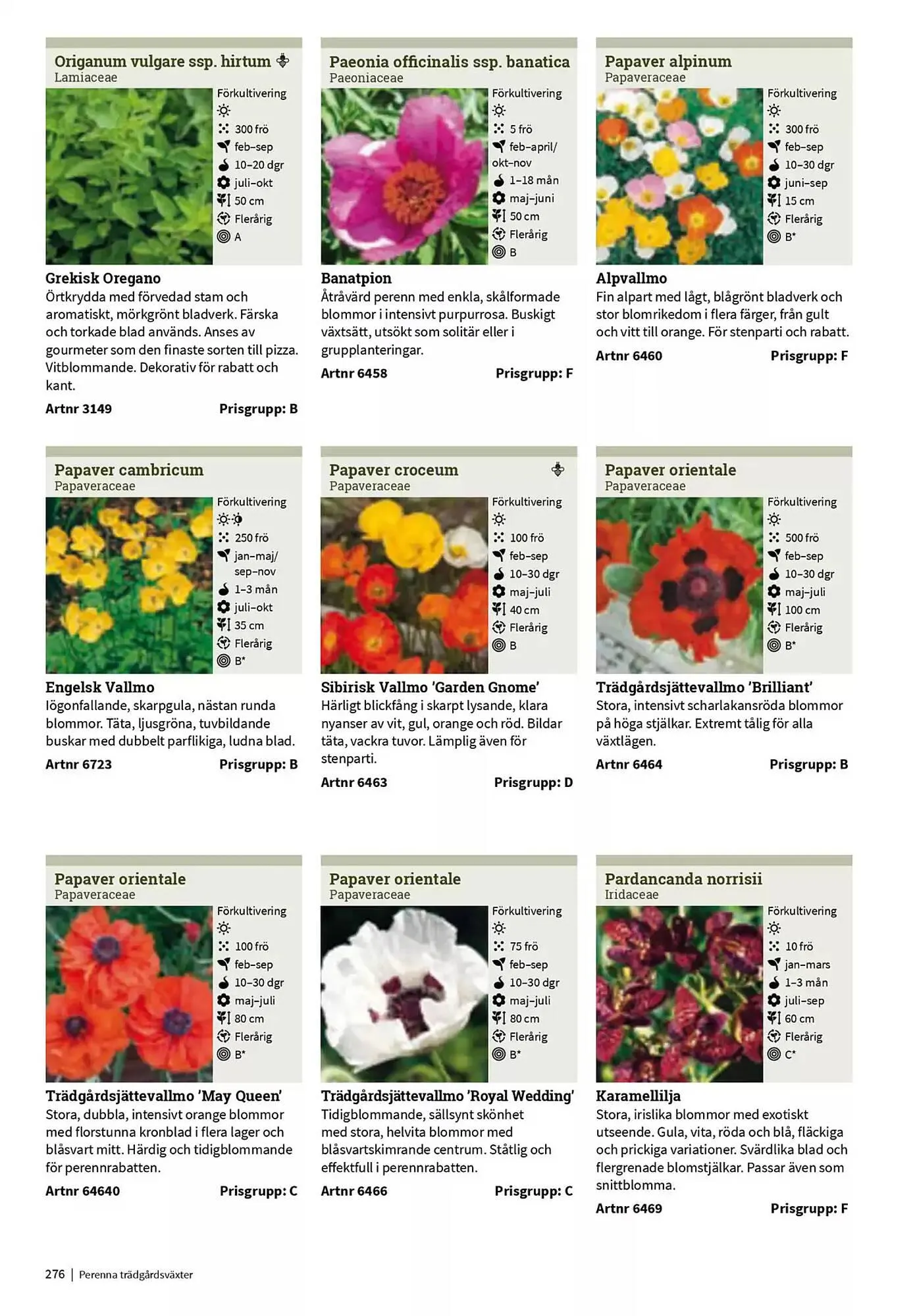 Impecta reklamblad från 23 januari till 31 december 2025 - Reklamblad sidor 276