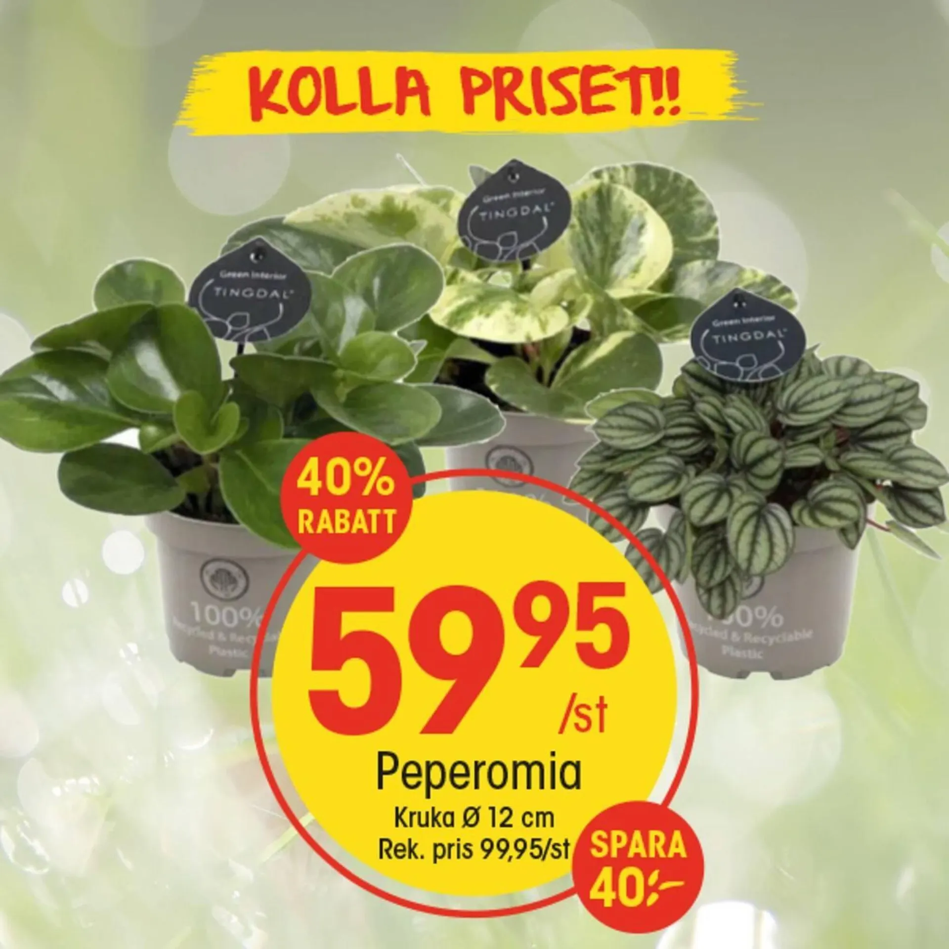 EKO reklamblad från 12 augusti till 16 augusti 2025 - Reklamblad sidor 3