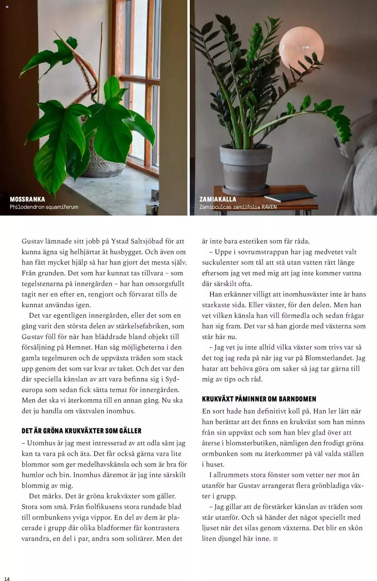 Blomsterlandet - Grönska #1 från 6 februari till 31 december 2023 - Reklamblad sidor 14