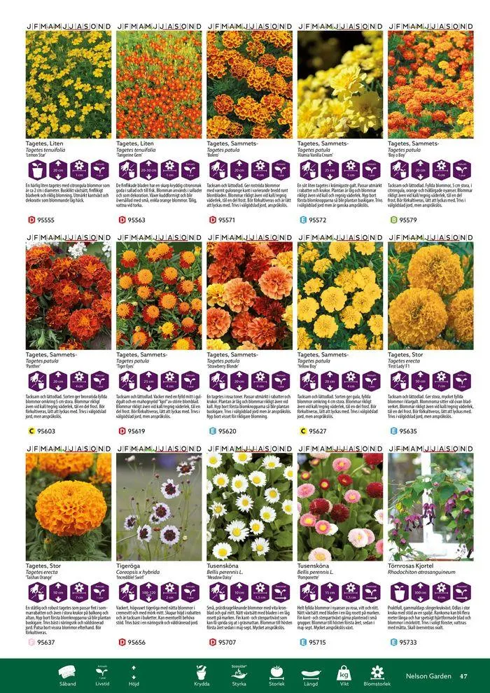 Nelson Gardens frökatalog 2024 är här! från 6 mars till 31 december 2024 - Reklamblad sidor 47