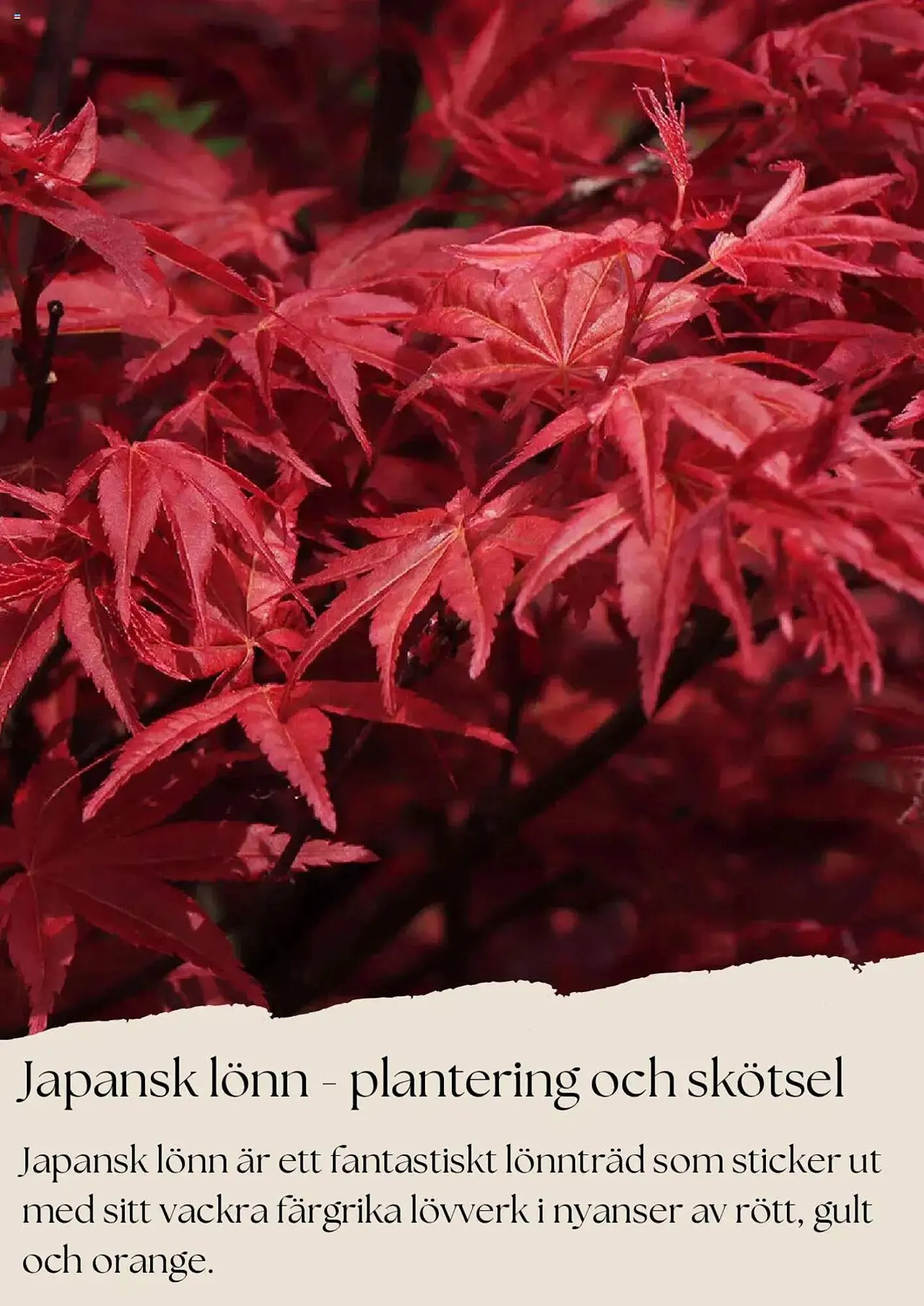 Plantagen reklamblad från 1 juni till 30 juni 2025 - Reklamblad sidor 9