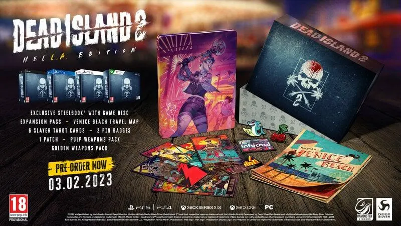 Dead Island 2 HELL-A Edition (PS4)