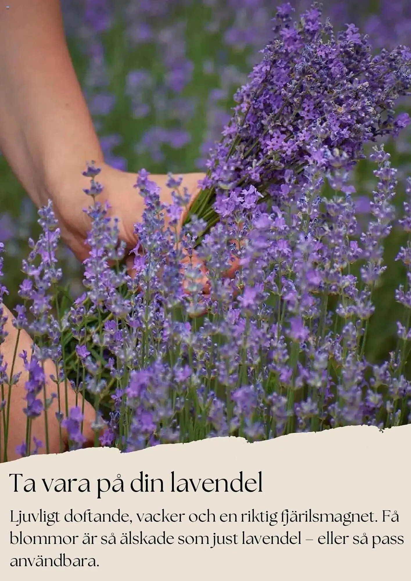 Plantagen reklamblad från 1 juni till 30 juni 2025 - Reklamblad sidor 8